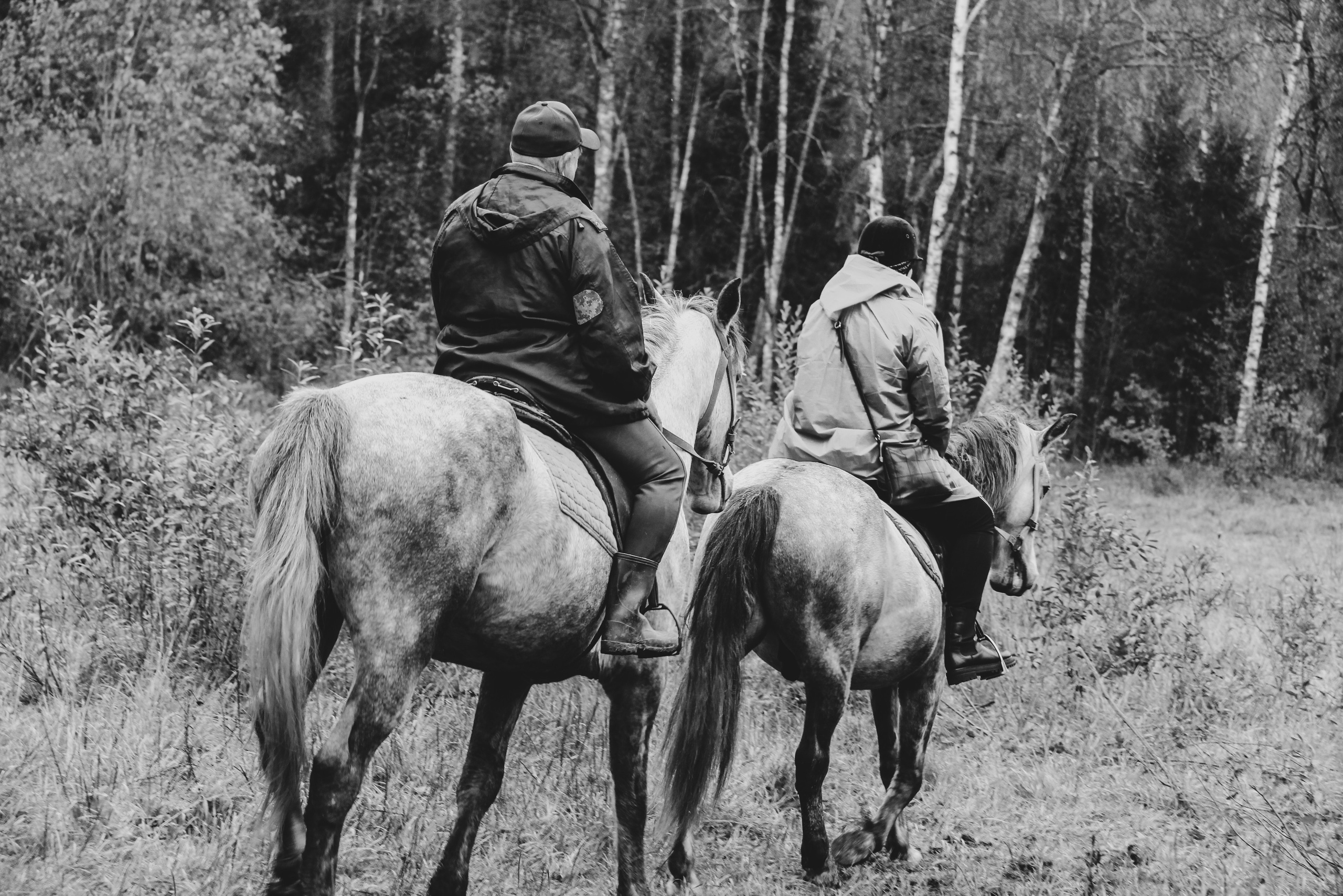 Лошадинг | 27.09.2025. Галерея Фантим