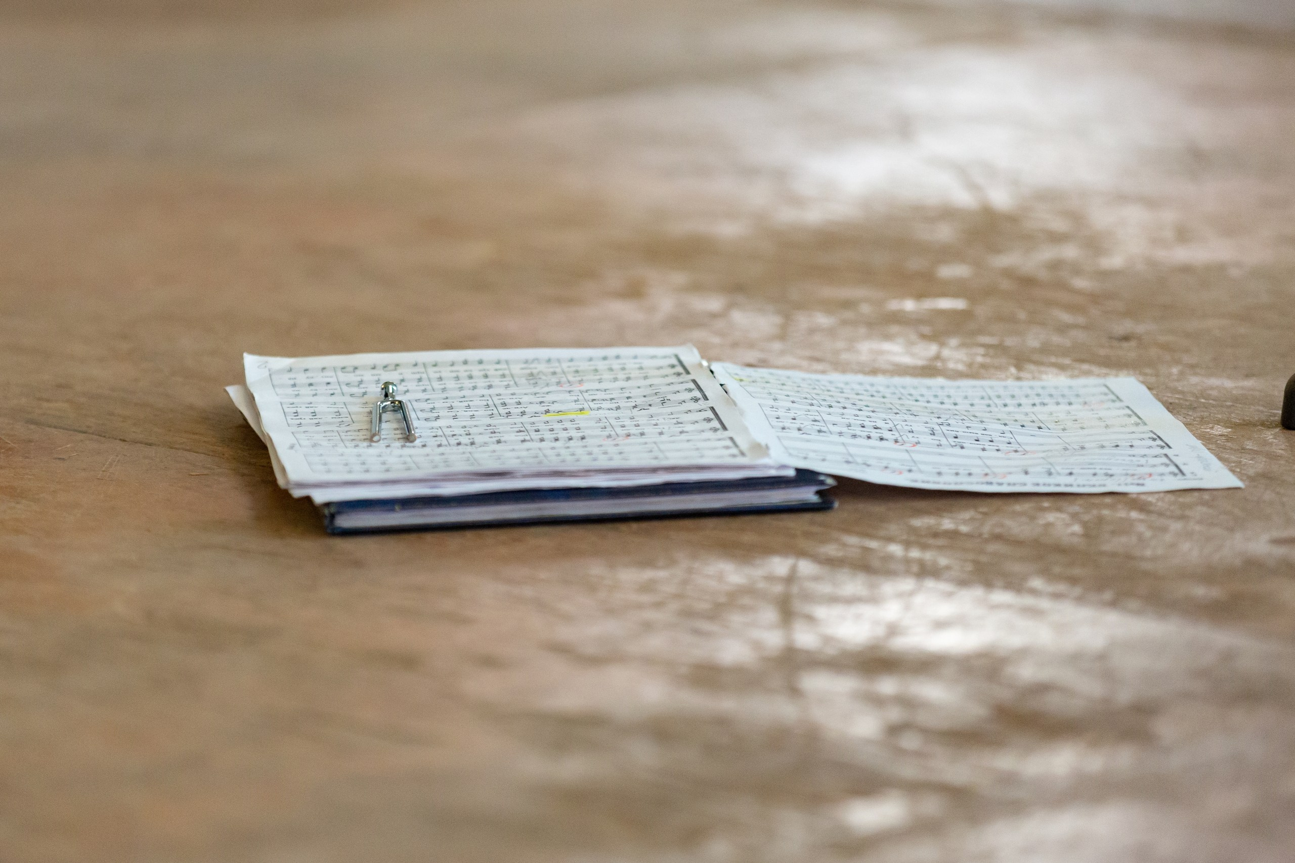 29.05.2024 Училище имени Н.А. Римского-Корсакова. Семейный и детский фотограф в Санкт-Петербурге Пуликов Дмитрий