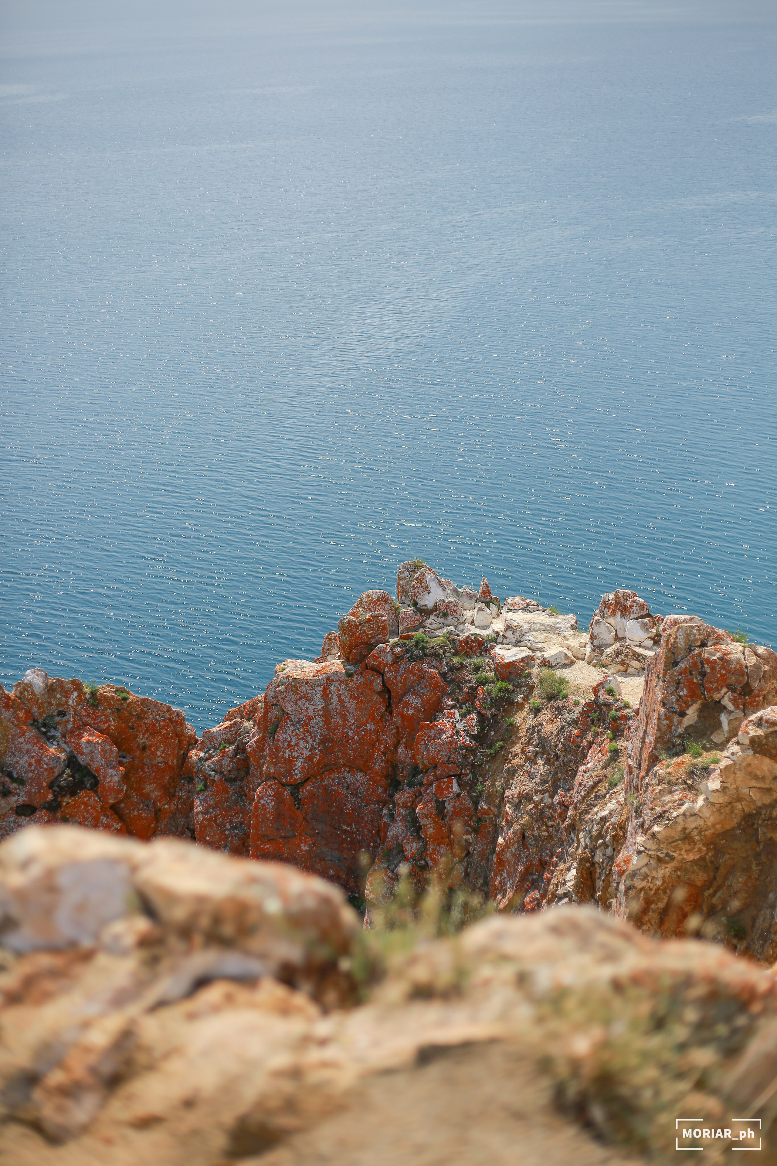 Отпуск. Портретный и репортажный фотограф в Кемерово Алексеева Анастасия