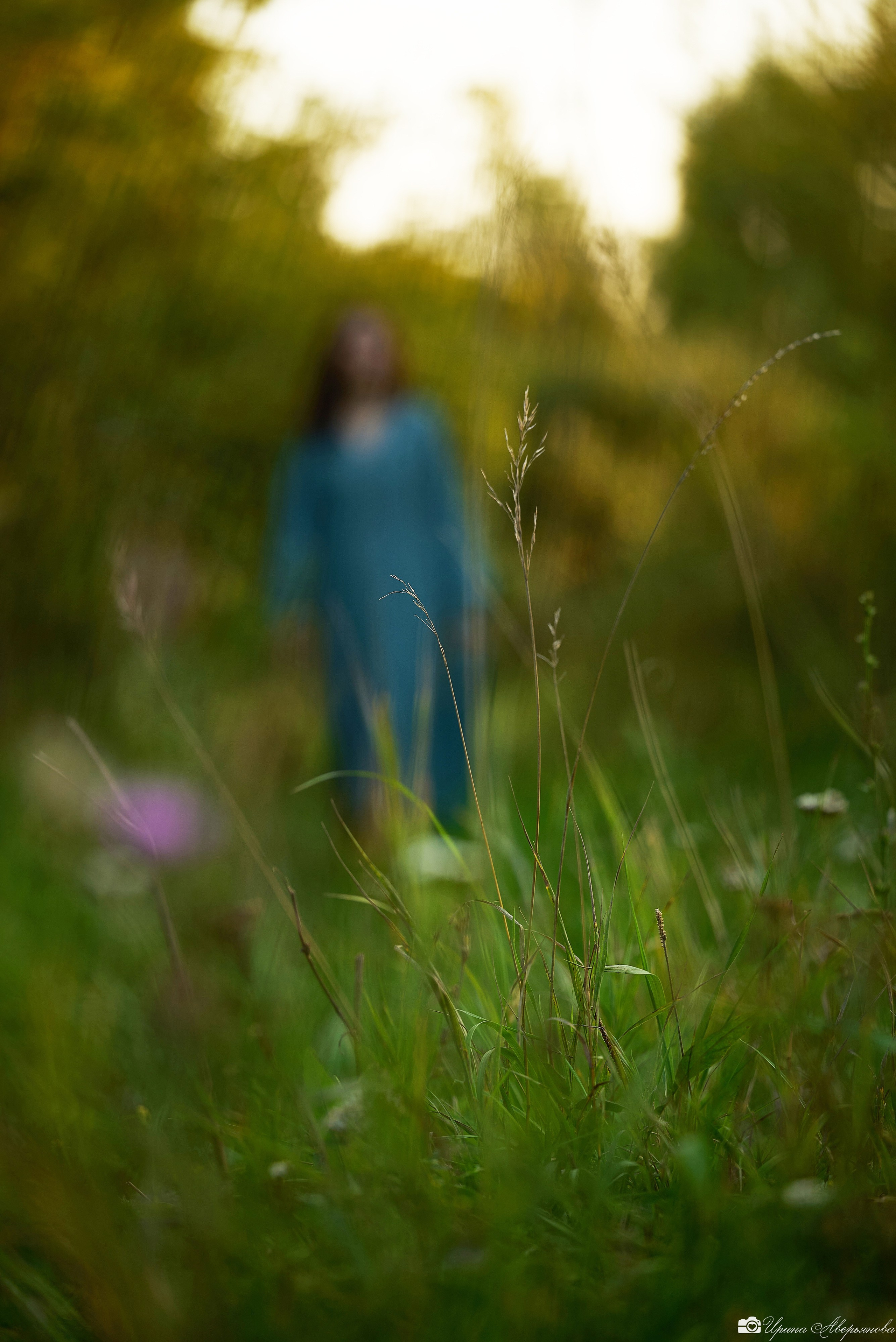 Фотосессия девушки на природе летом. Фотограф в Ульяновске Ирина Аверьянова