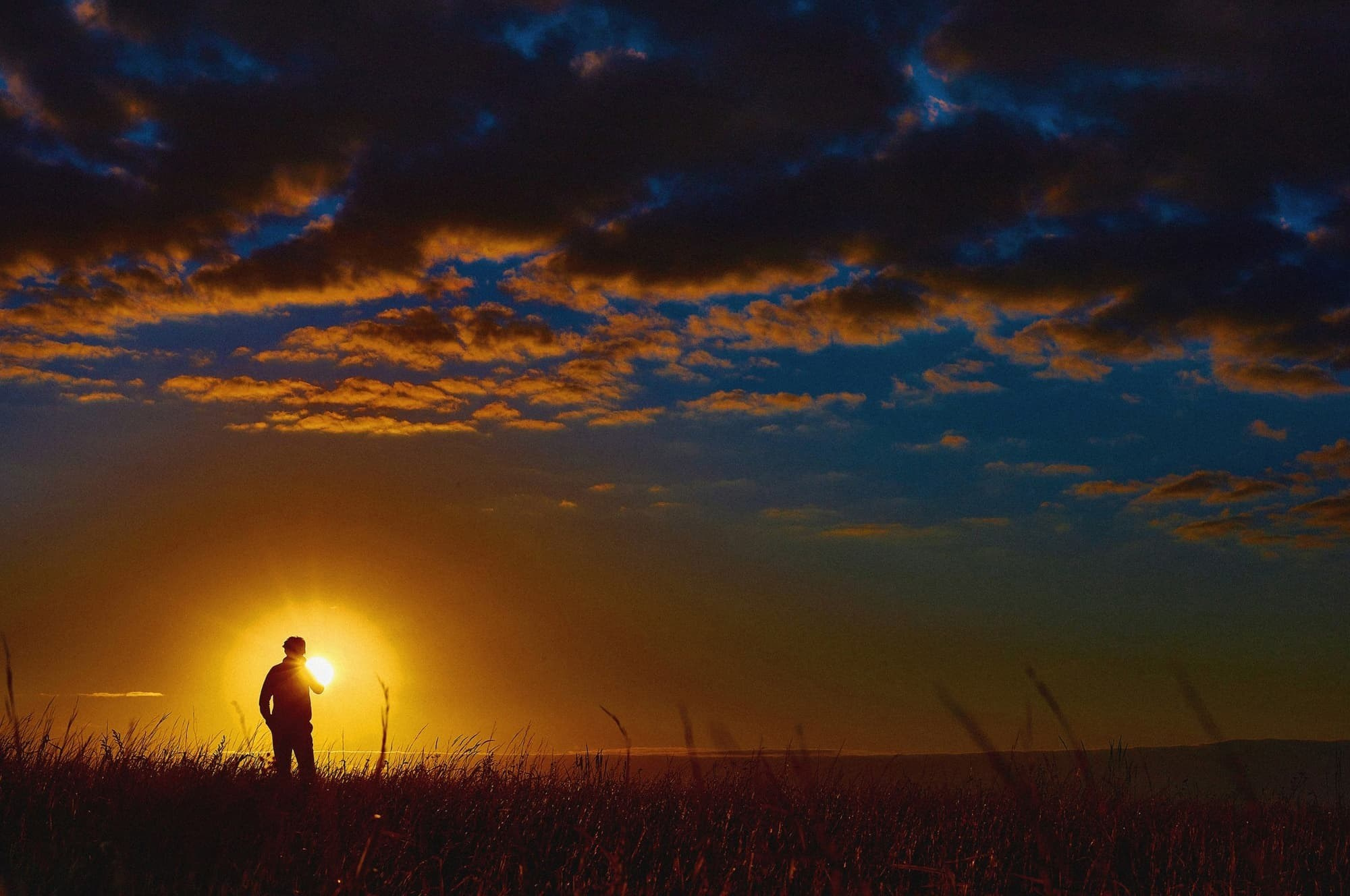 Учебник фотографии. Международная онлайн-фотошкола Сергея Рожнова