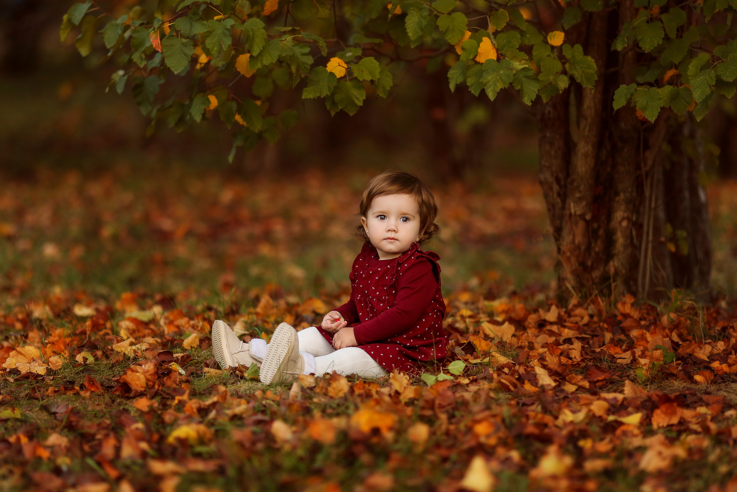 Детские фотосъемки. Фотограф в Краснодаре и Краснодарском крае Светлана Койнаш