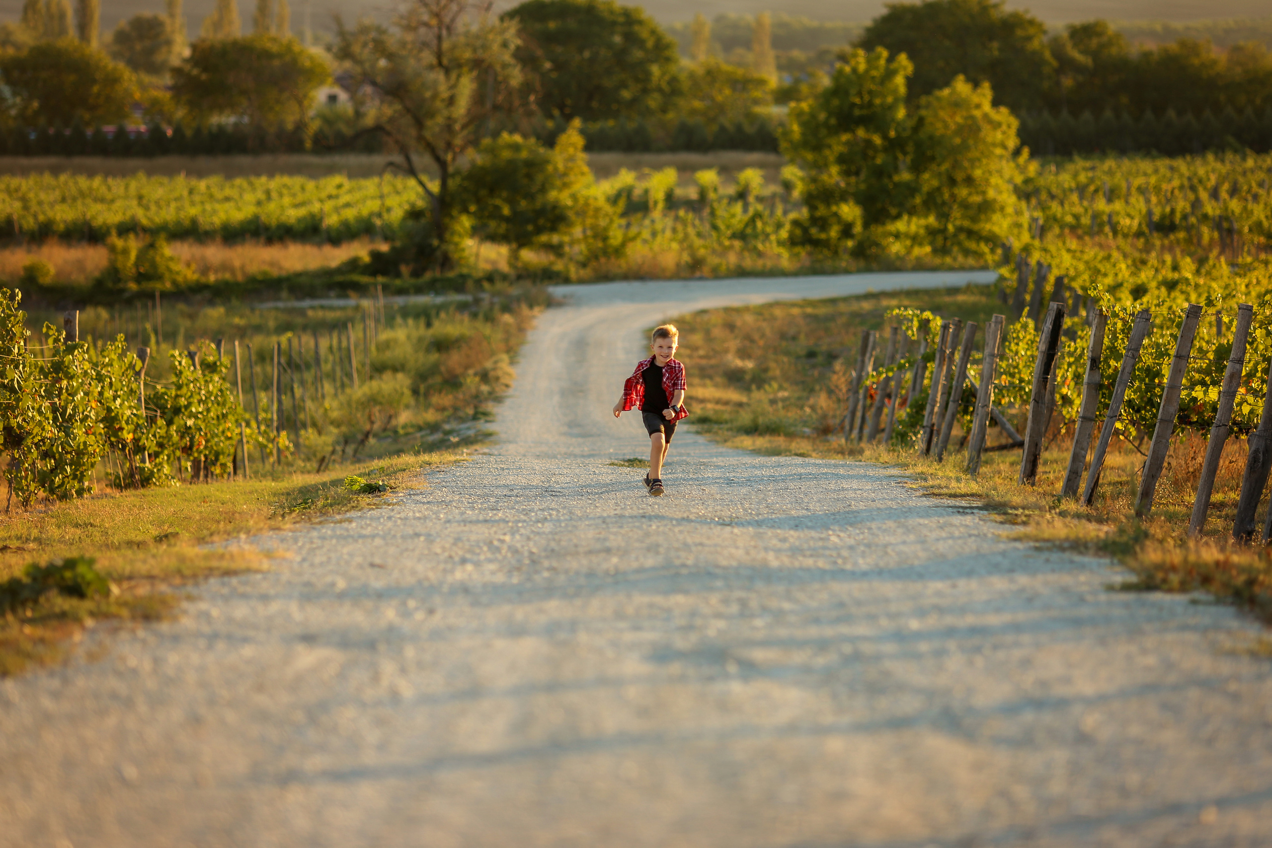 Детские фотосъемки. Фотограф в Краснодаре и Краснодарском крае Светлана Койнаш