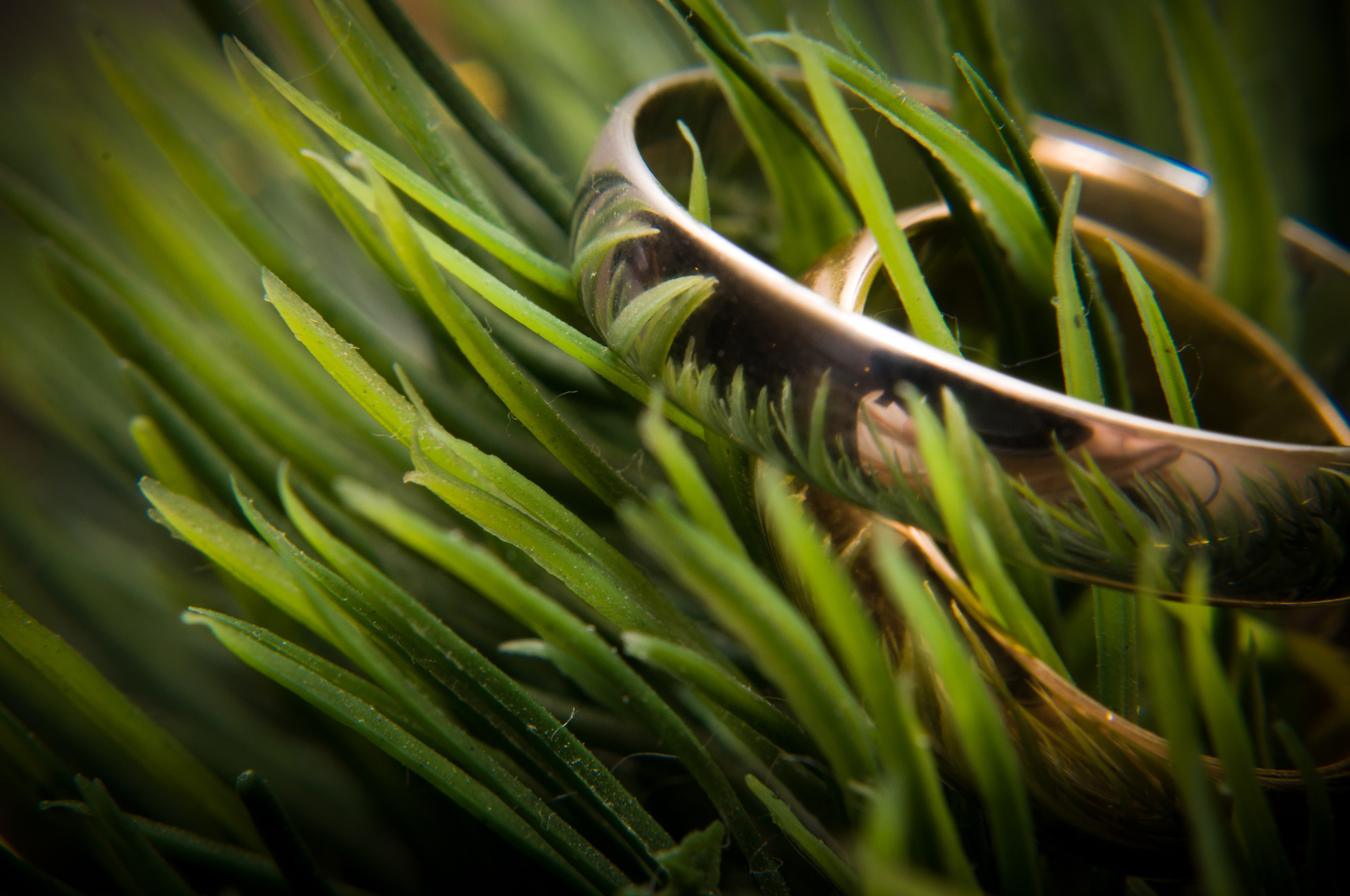 Авик и Люба