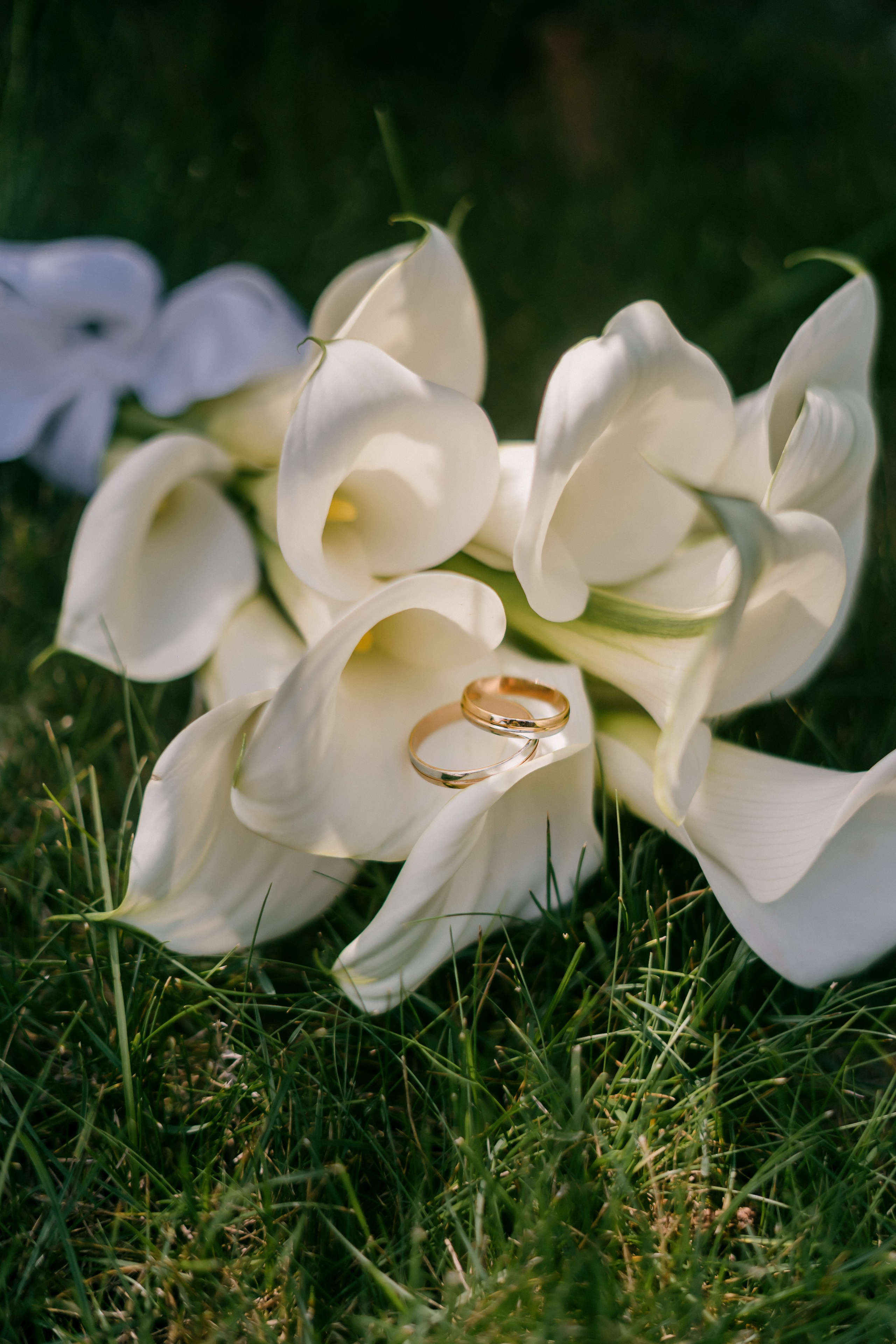 Дмитрий и Татьяна. Фотограф в Ростове-на-Дону Соколова Ксения