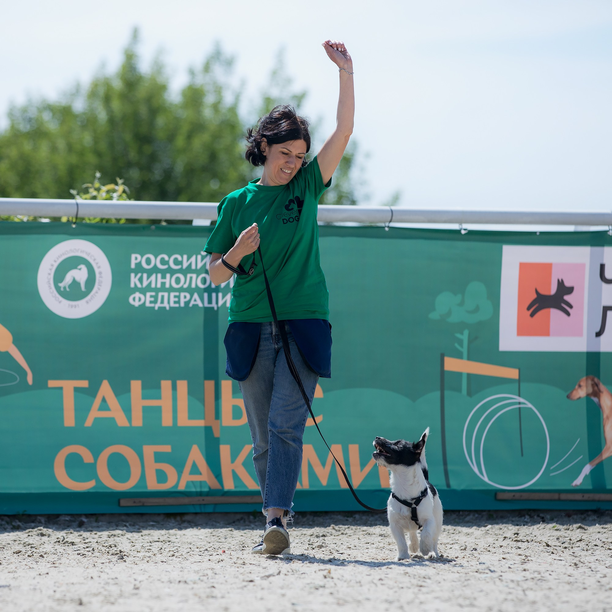 Показательные выступления по NoseWork на выставке «Россия». Фотограф-анималист Mary Mart — Москва, Питер