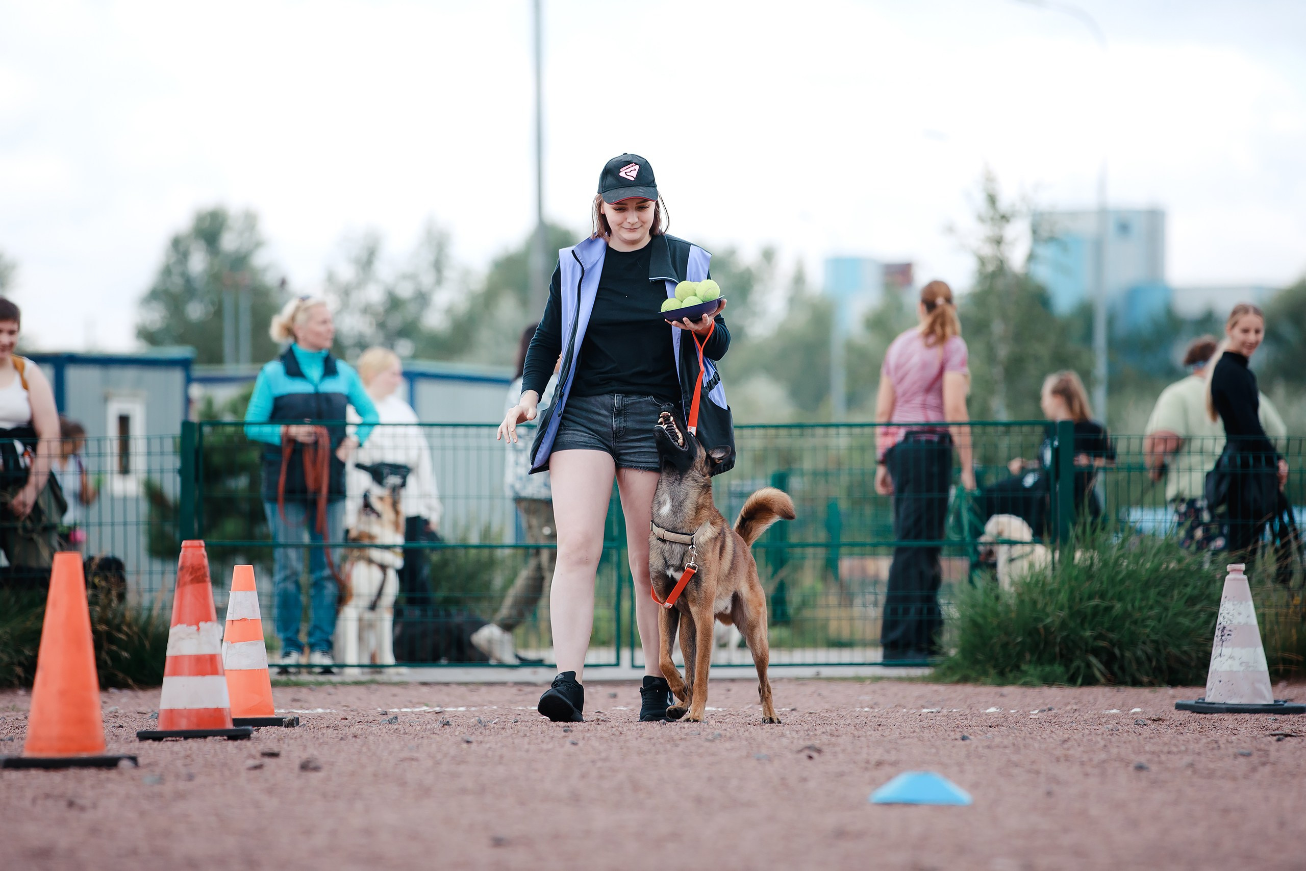 Питч&Гоу + веселые старты. Фотограф-анималист Mary Mart — Москва, Питер
