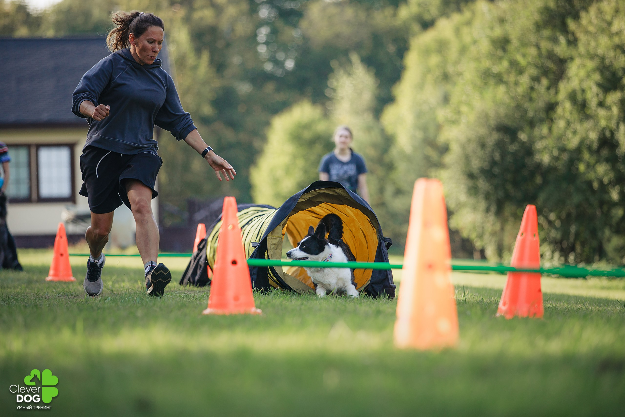 Кинологический лагерь CleverDog, 2024. Фотограф-анималист Mary Mart — Москва, Питер