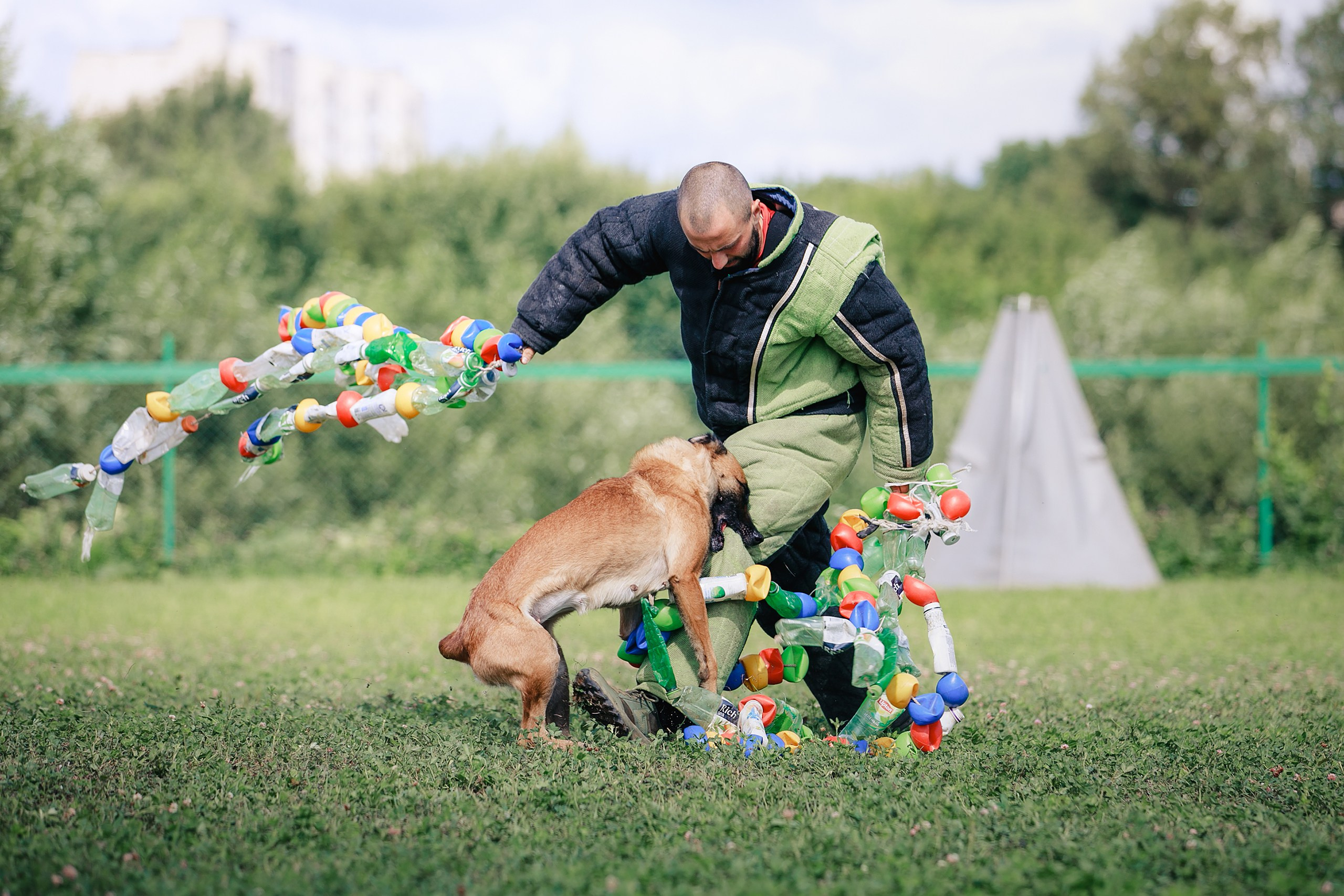 Мондьоринг М1, М2, М3, Вологда. Фотограф-анималист Mary Mart — Москва, Питер
