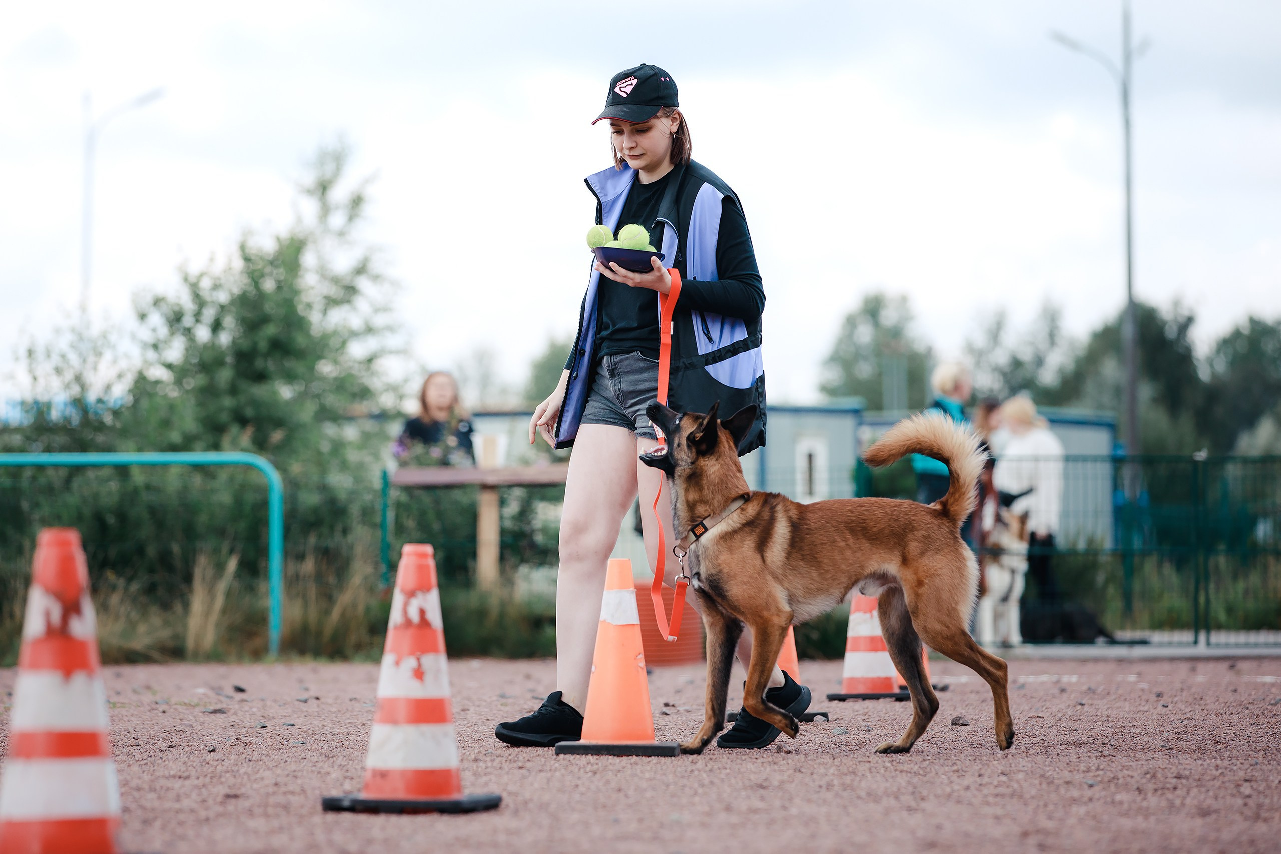 Питч&Гоу + веселые старты. Фотограф-анималист Mary Mart — Москва, Питер