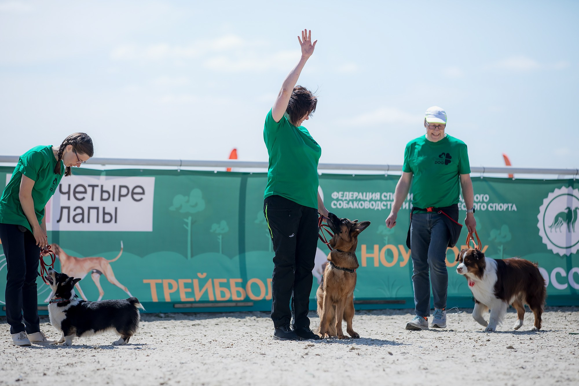 Показательные выступления по NoseWork на выставке «Россия». Фотограф-анималист Mary Mart — Москва, Питер