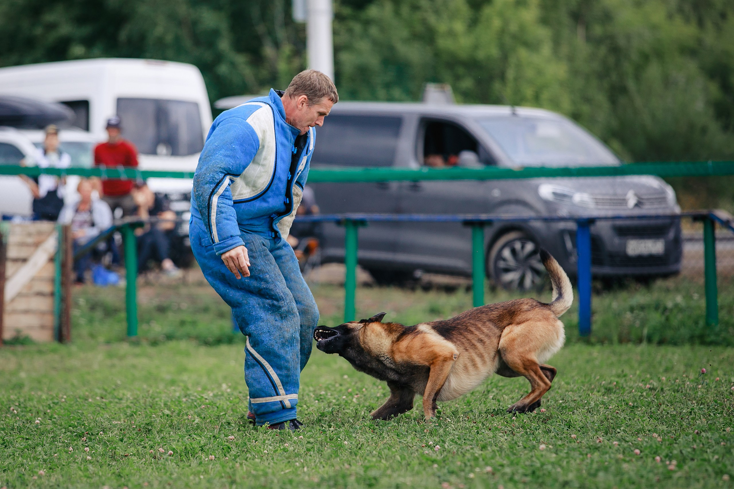 Мондьоринг М1, М2, М3, Вологда. Фотограф-анималист Mary Mart — Москва, Питер