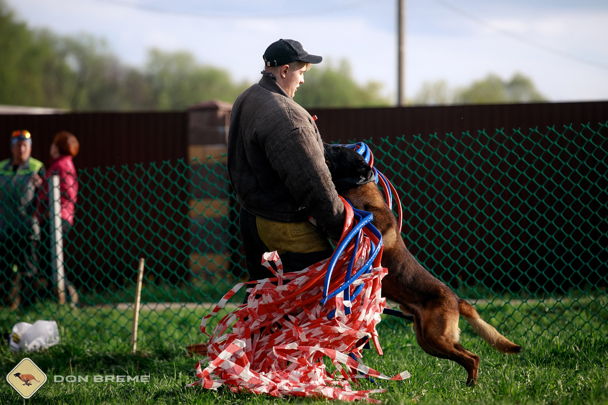 Семинар для фигурантов, день 2. Фотограф-анималист Mary Mart — Москва, Питер