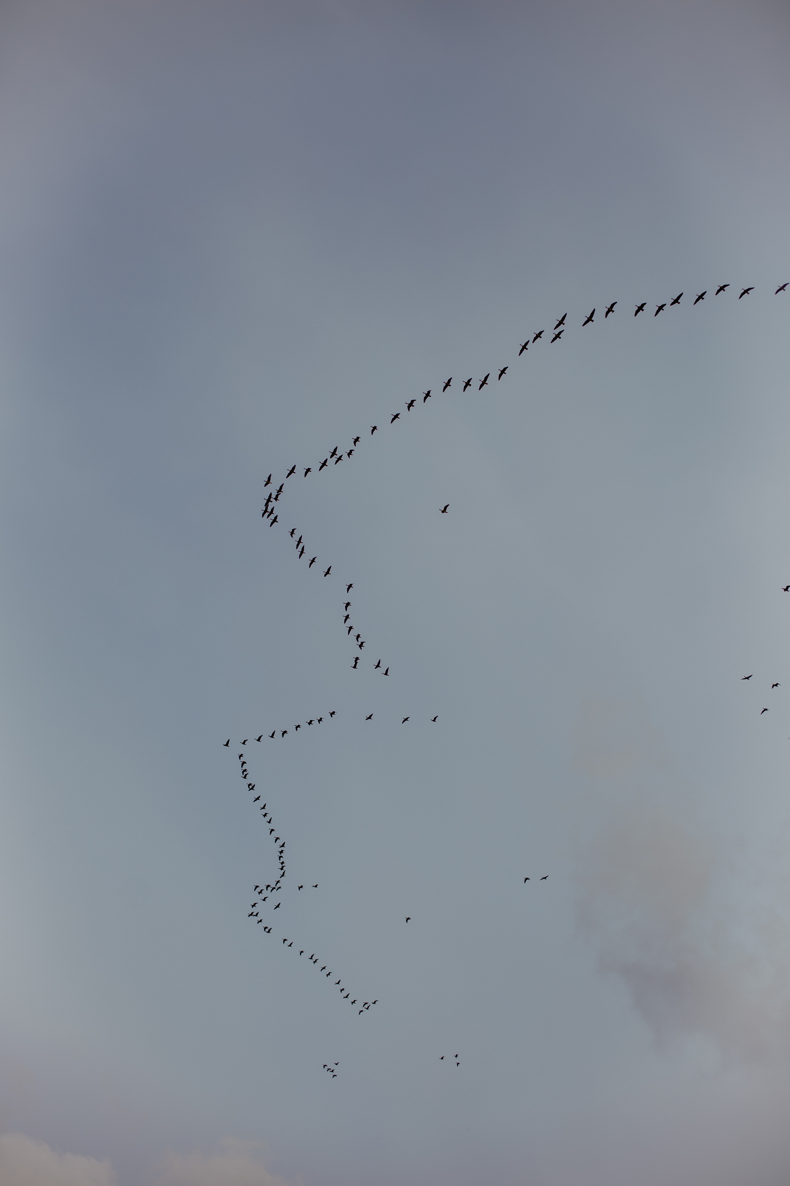 Инна и Дима. Филинская бухта. Фотограф в Калининграде Решетникова Алина