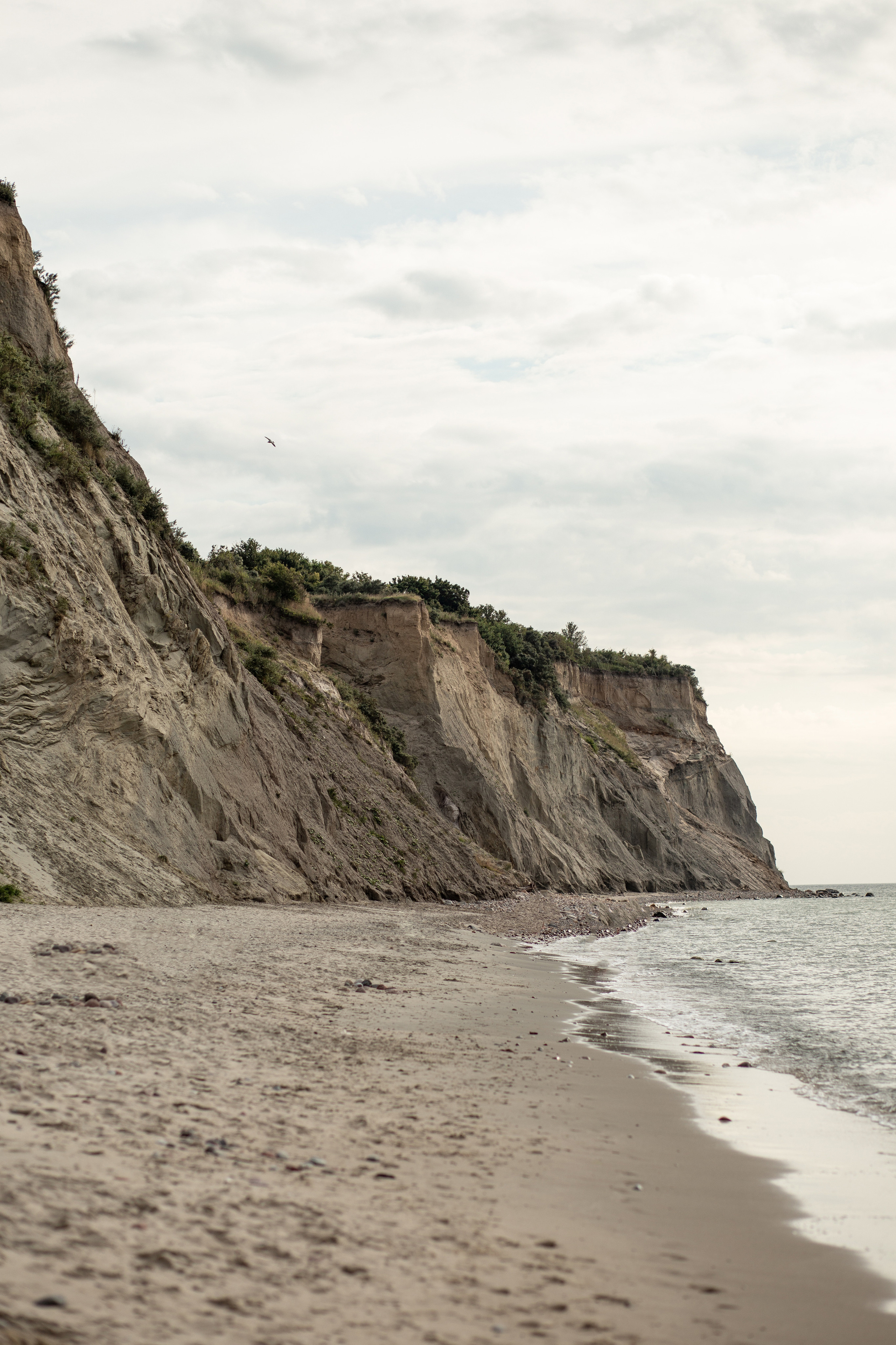 Анастасия и Алексей. Предложение руки и сердца. Фотограф в Калининграде Решетникова Алина