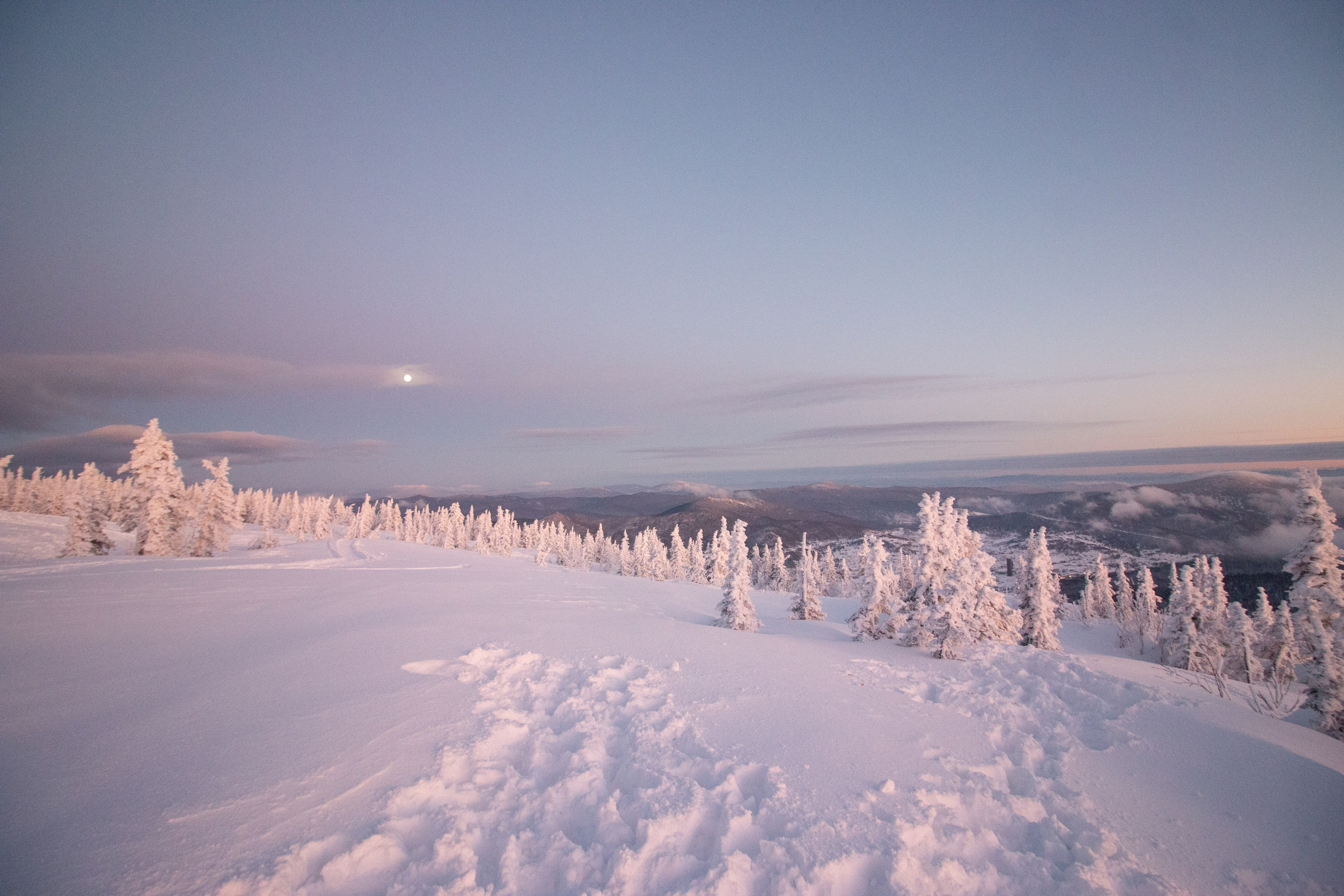 Татьяна и Иван. Свадебный и семейный фотограф в Новокузнецке Иван Иванов