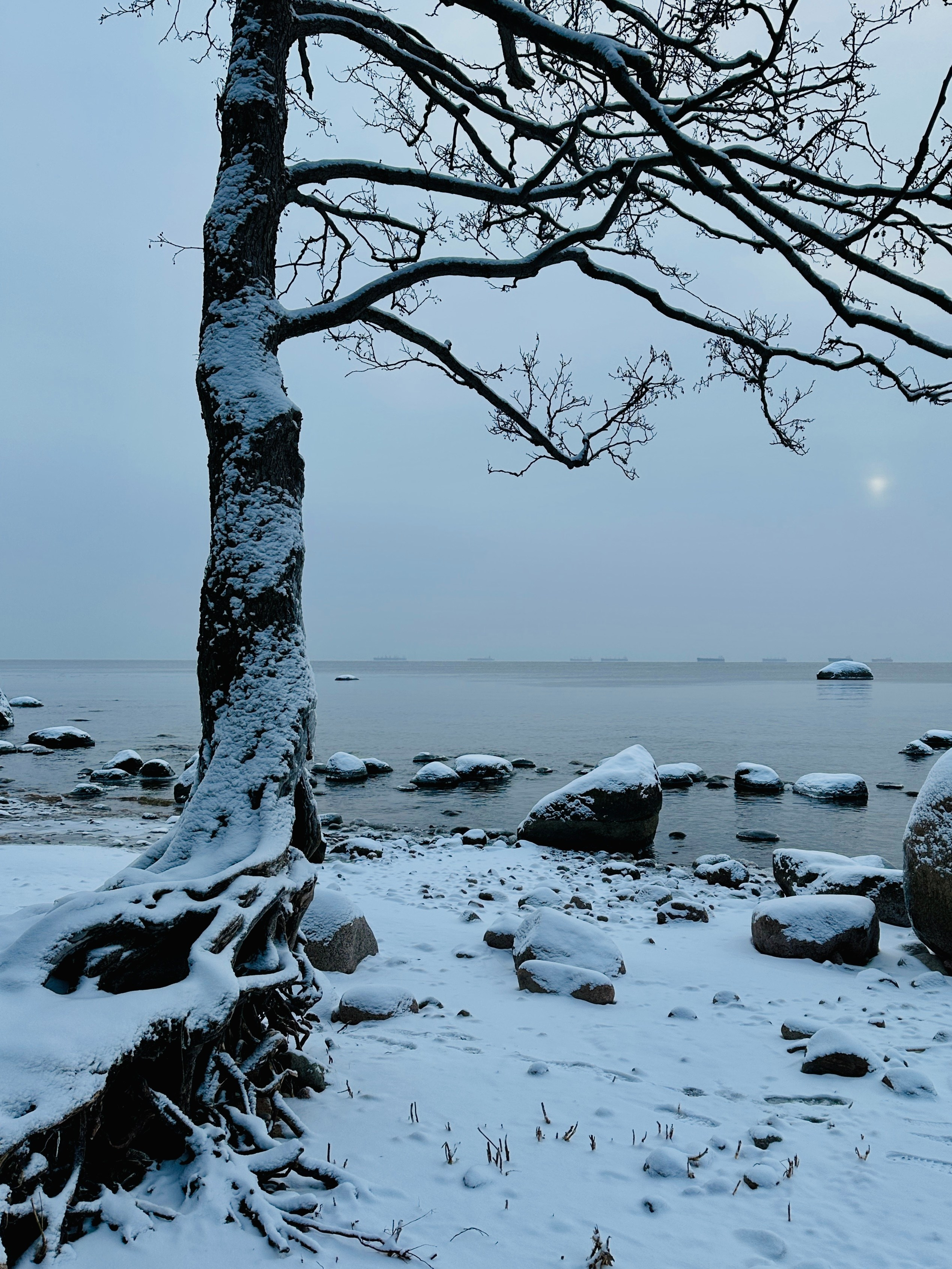 Рефлексия. Портретный фотограф