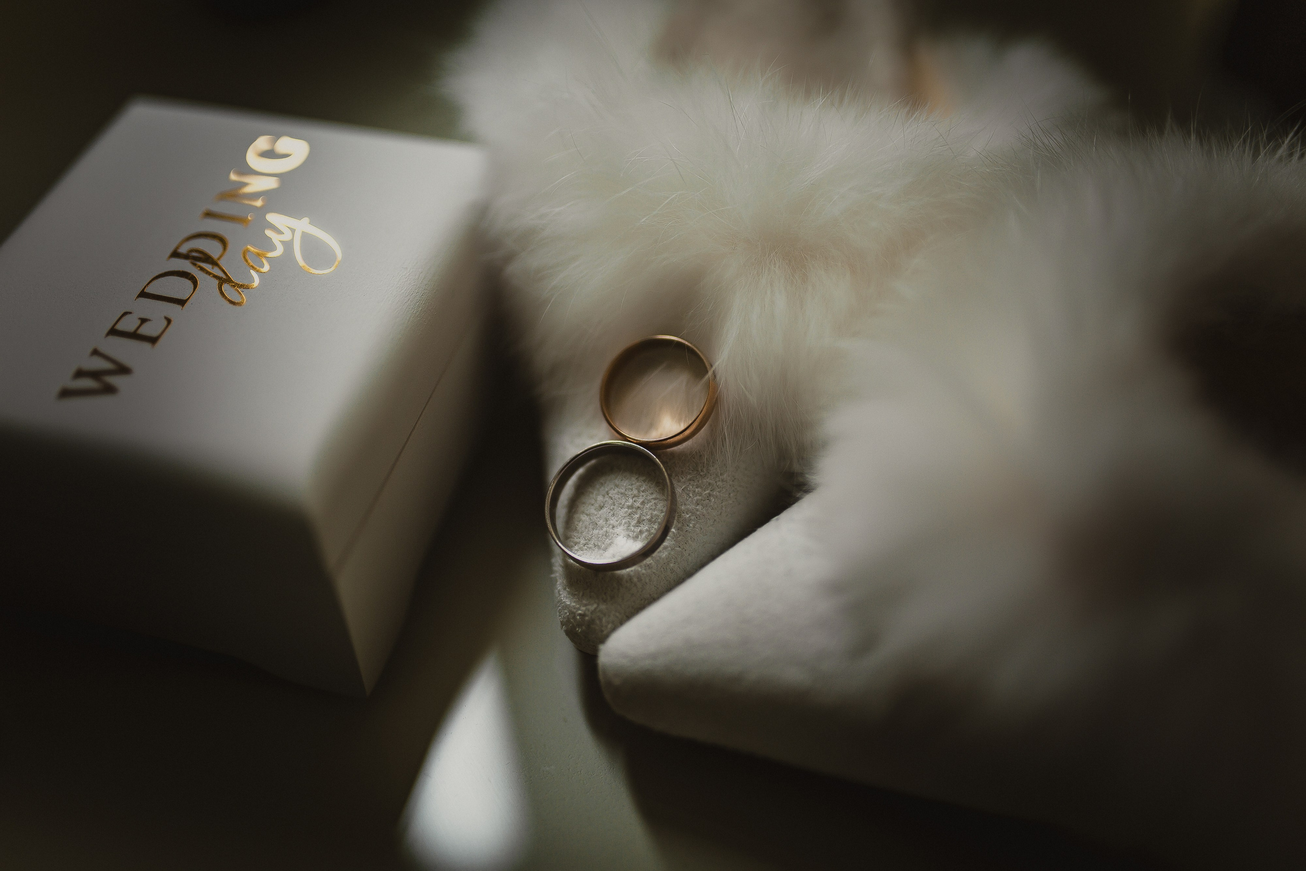 Артем Мясников фотограф