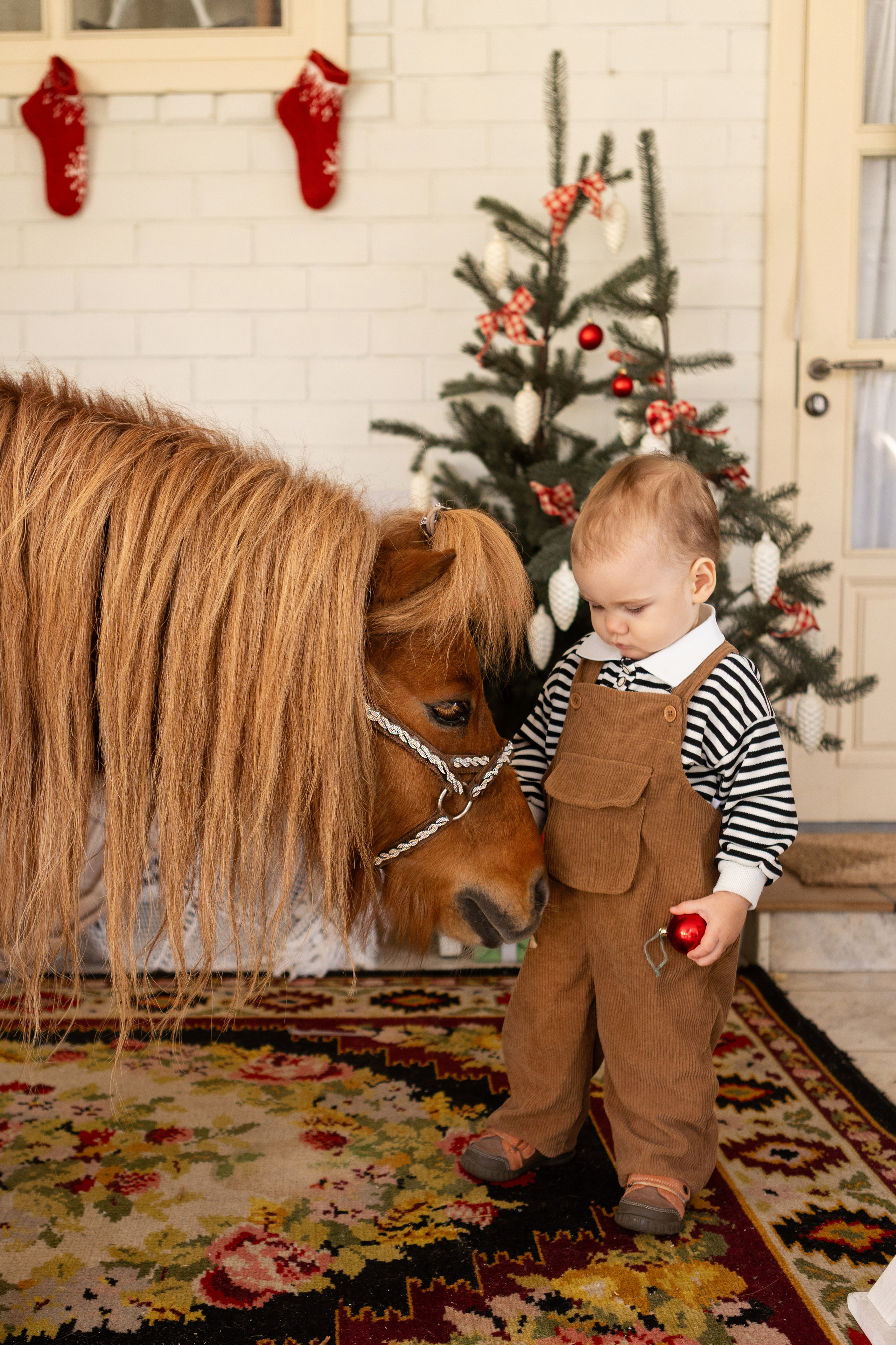 Символ 2026 года «Пони-Бонус». Фотостудия Ольги Сурухановой. Свадебный семейный и детский фотограф в Краснодаре Карина Федоровская