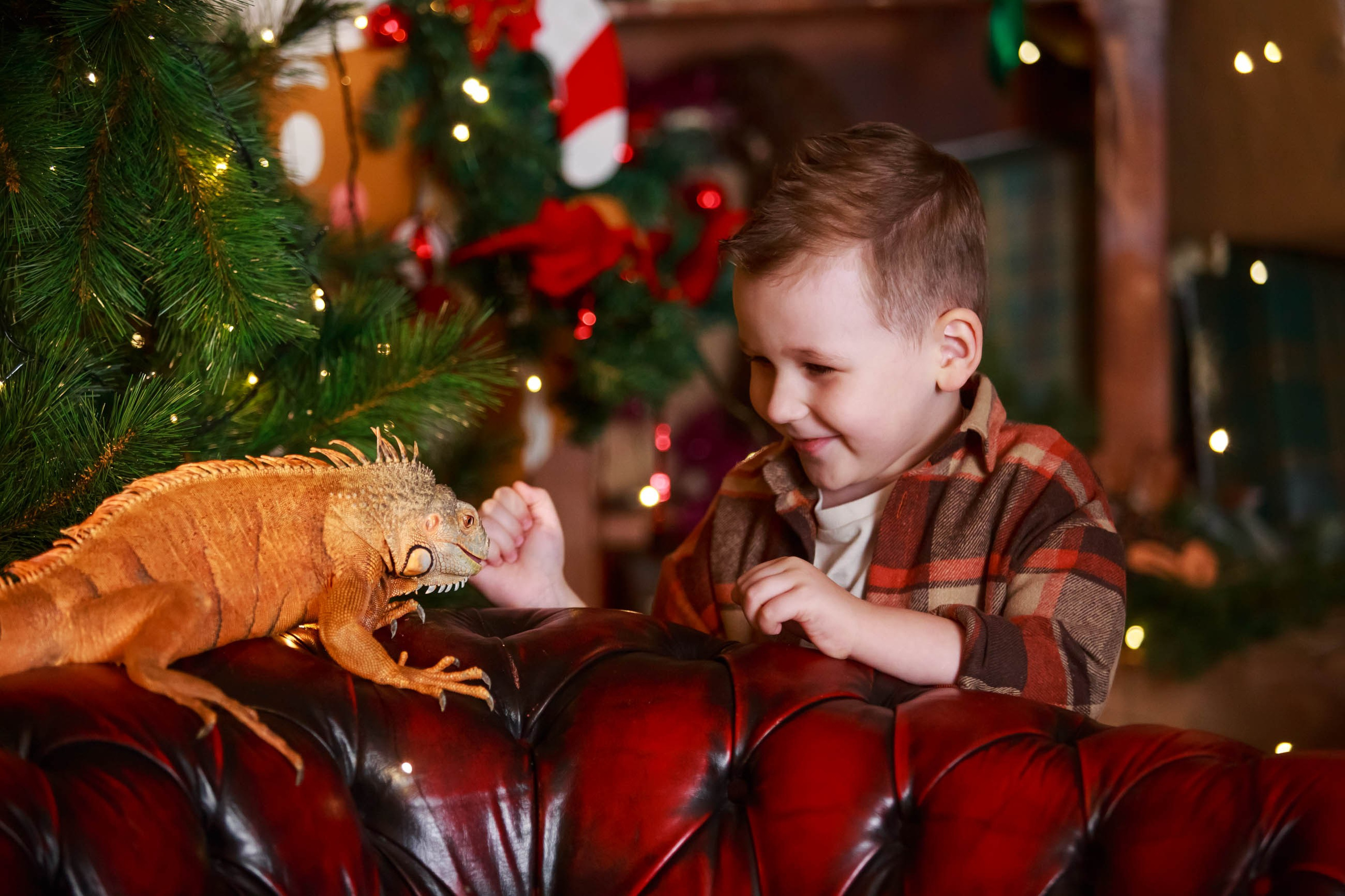 Фотосессия с игуаной символ года Дракона. Семейный и детский фотограф в Москве Мария Быкова