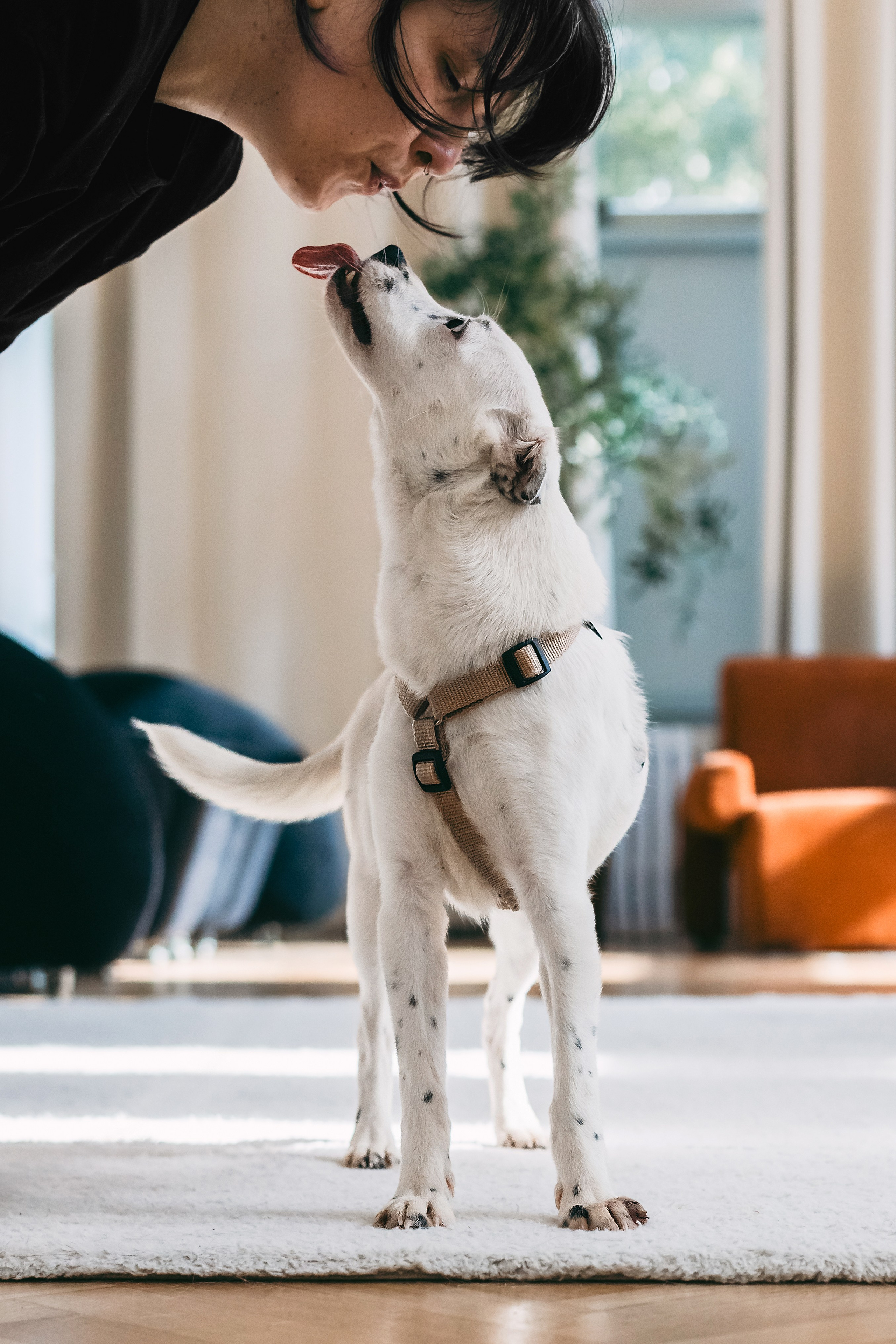 Студия лето 2025. Фотограф-анималист Татьяна Степанова