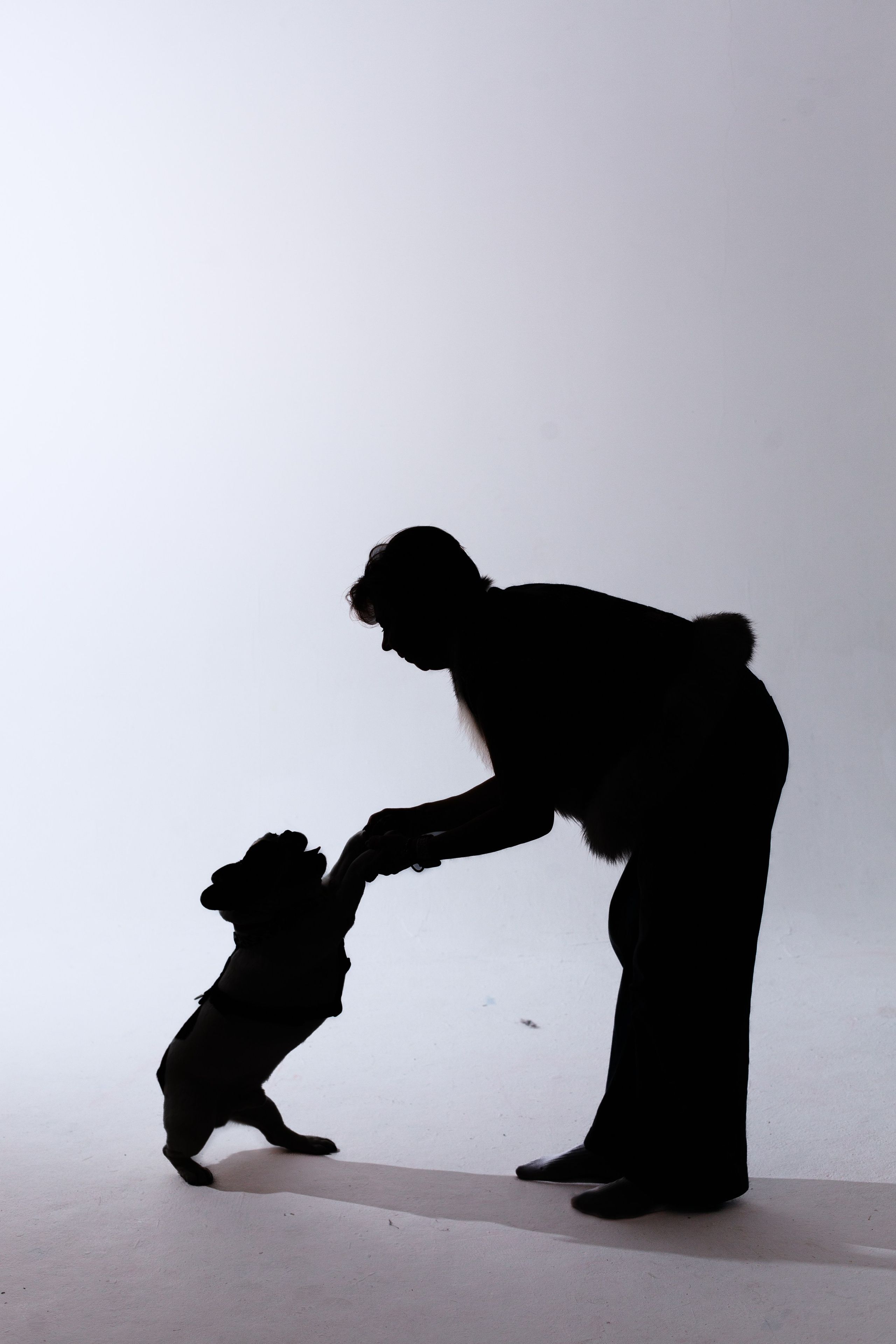 Бульвстреча 2025. Фотограф-анималист Татьяна Степанова