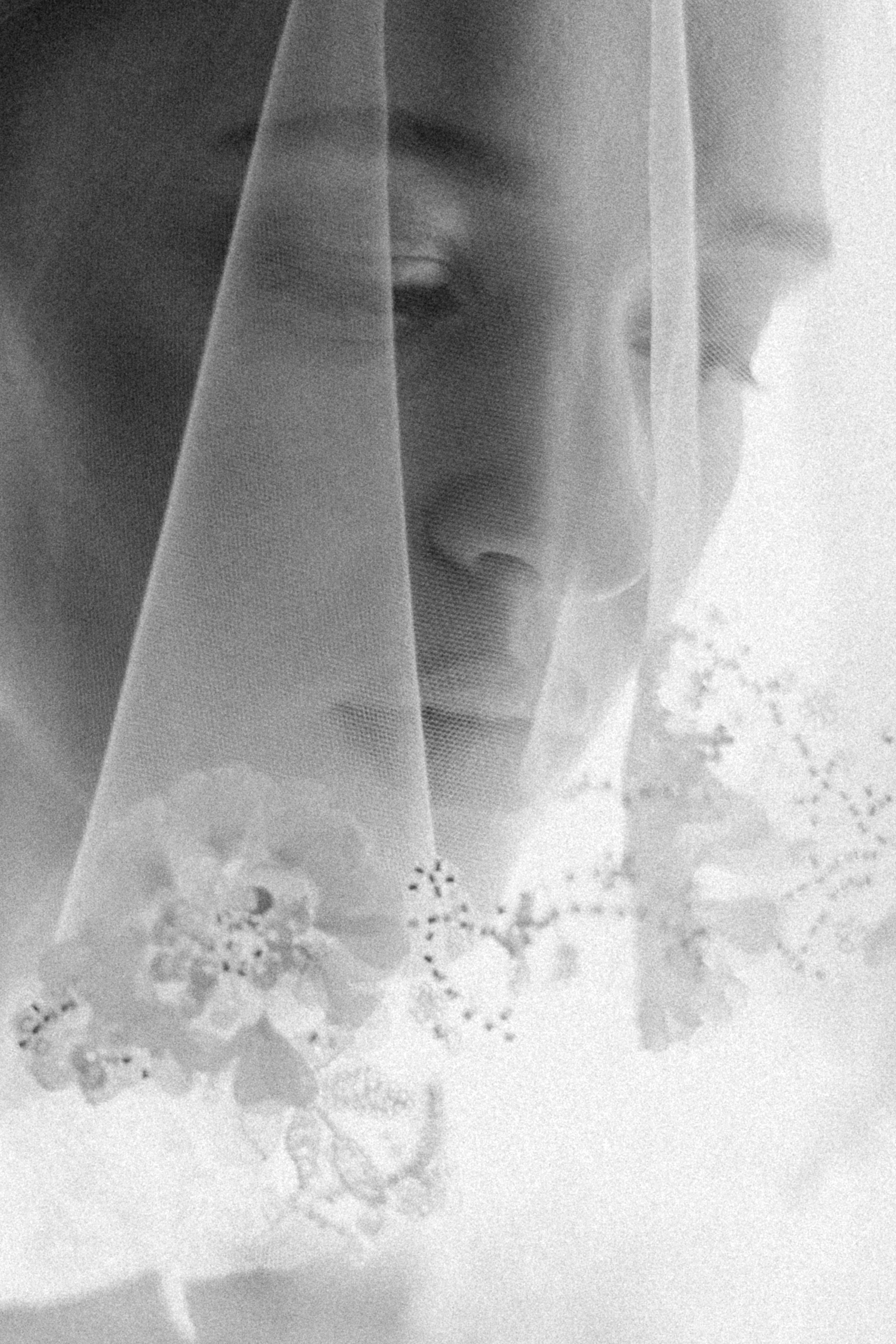 Контакты. Фотограф Астафьева Мария