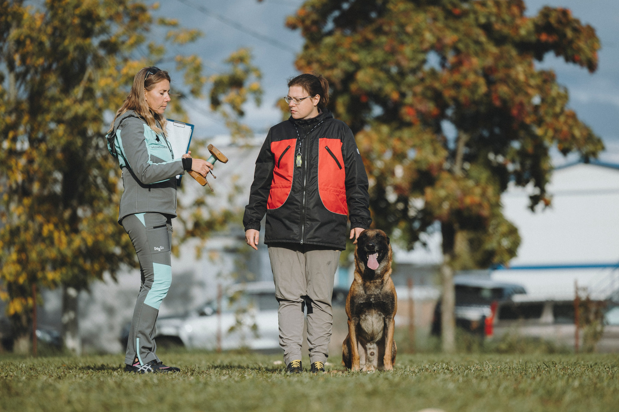 Испытания по мондьорингу г. Пушкин 29.09.2024. Фотограф-анималист Анна Маринич