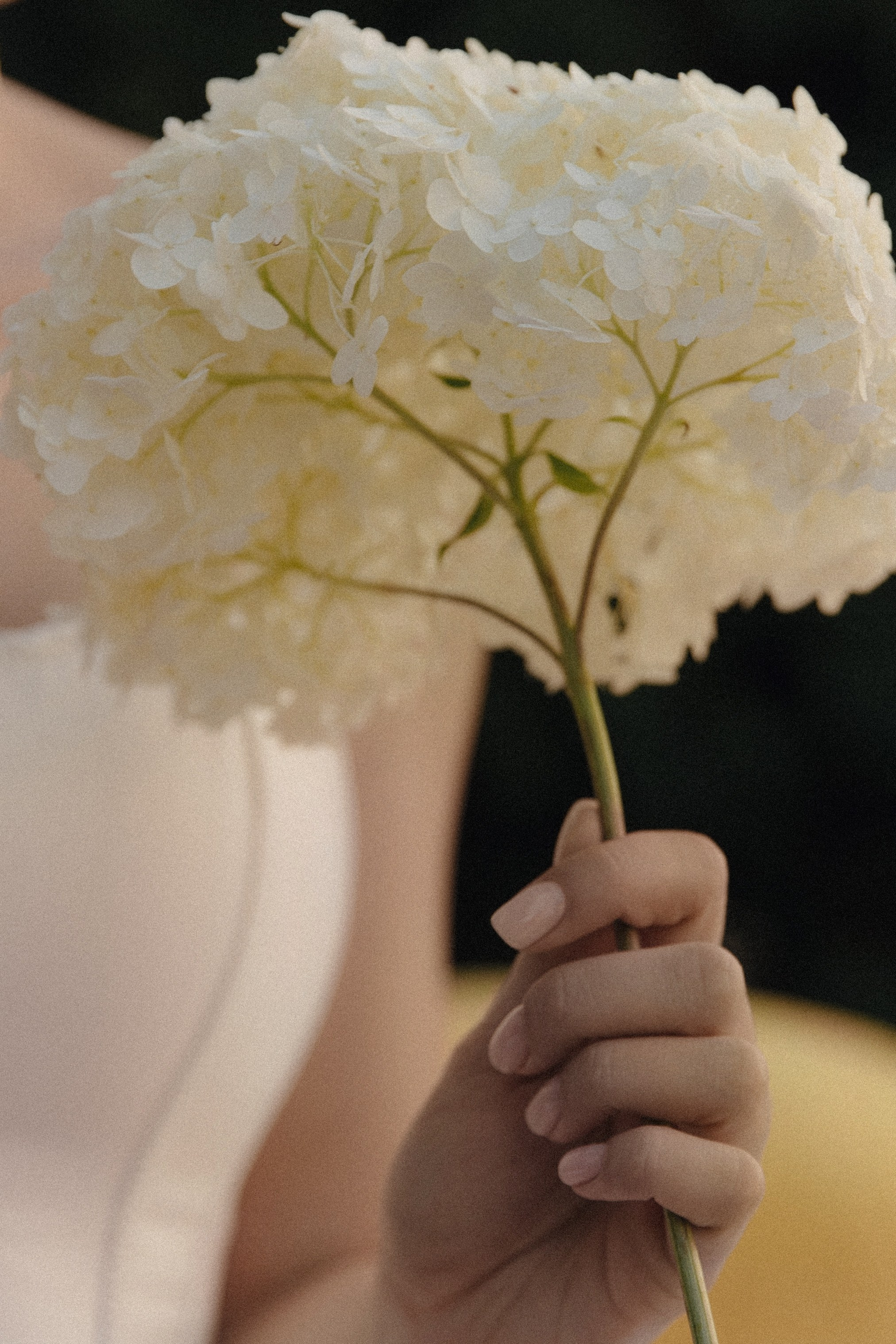 Александр & Полина. Свадебный фотограф Лена Чистопольцева