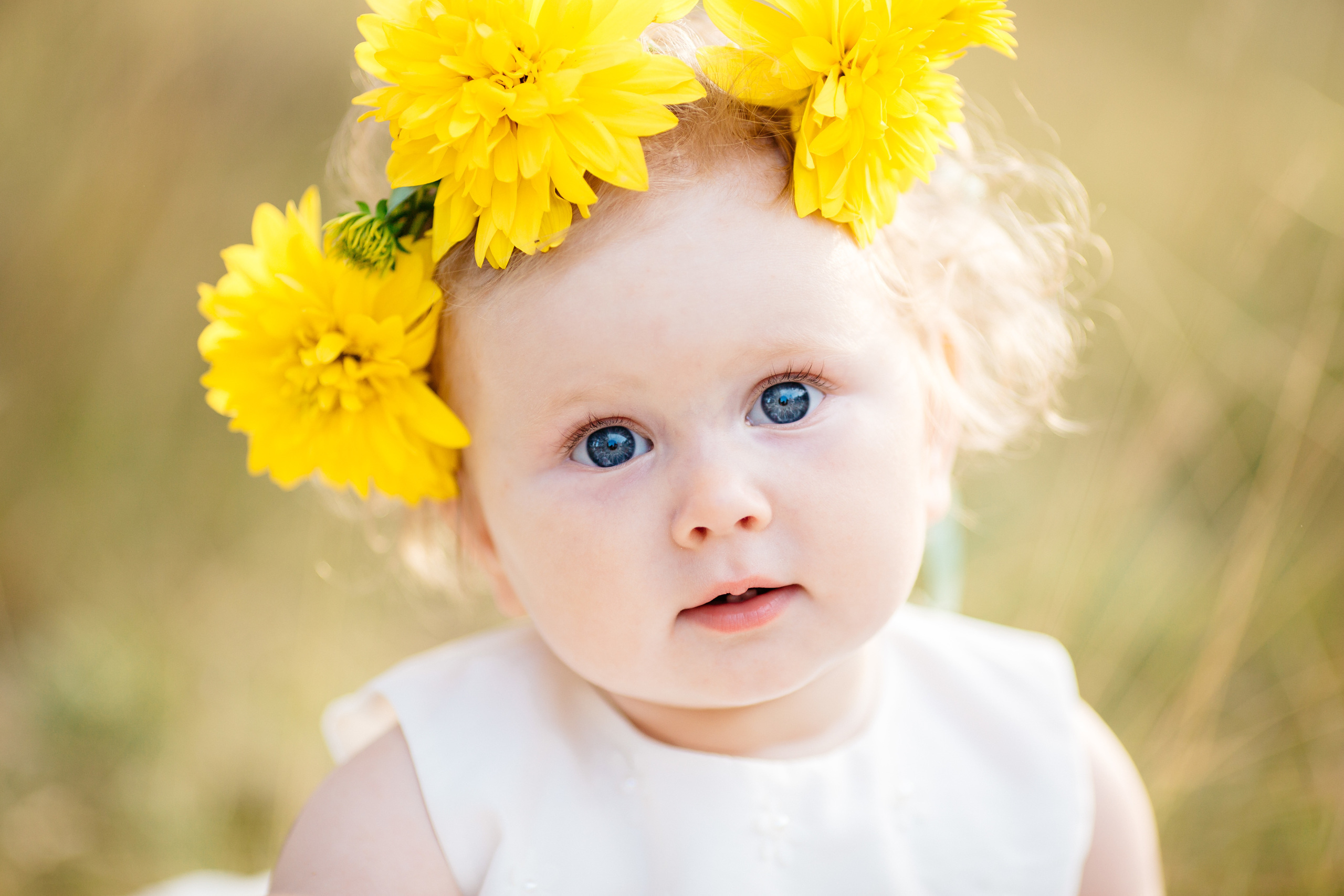 Семейная фотосессия, съемка на природе, детская фотосессия, крещение. Свадебный и семейный фотограф Раменское Жуковский  Александр Зимин