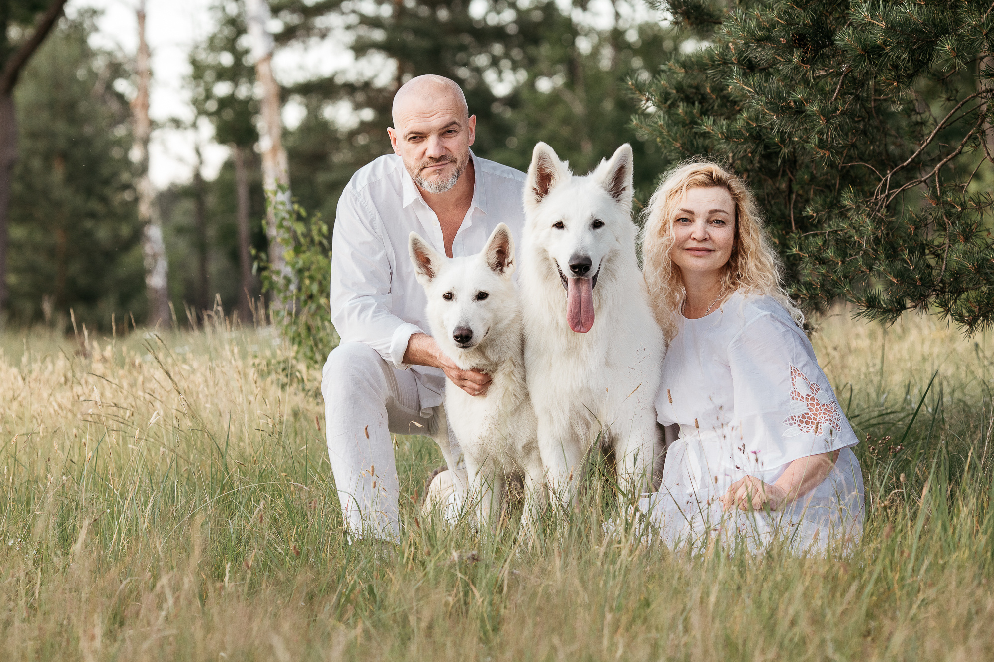 Семья с двумя белыми собаками сидят в поле