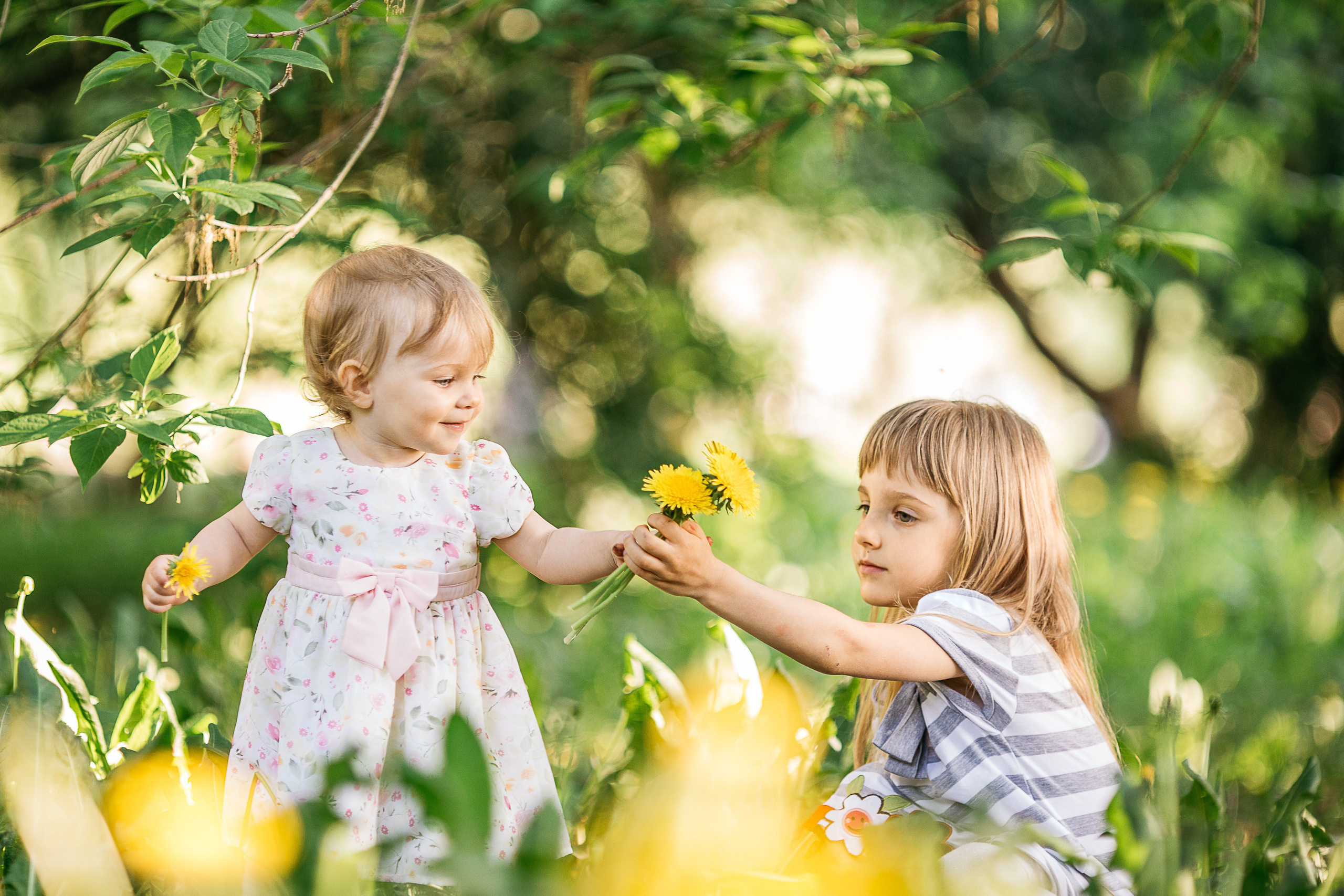Семейная фотосессия, съемка на природе, детская фотосессия, крещение. Свадебный и семейный фотограф Раменское Жуковский  Александр Зимин