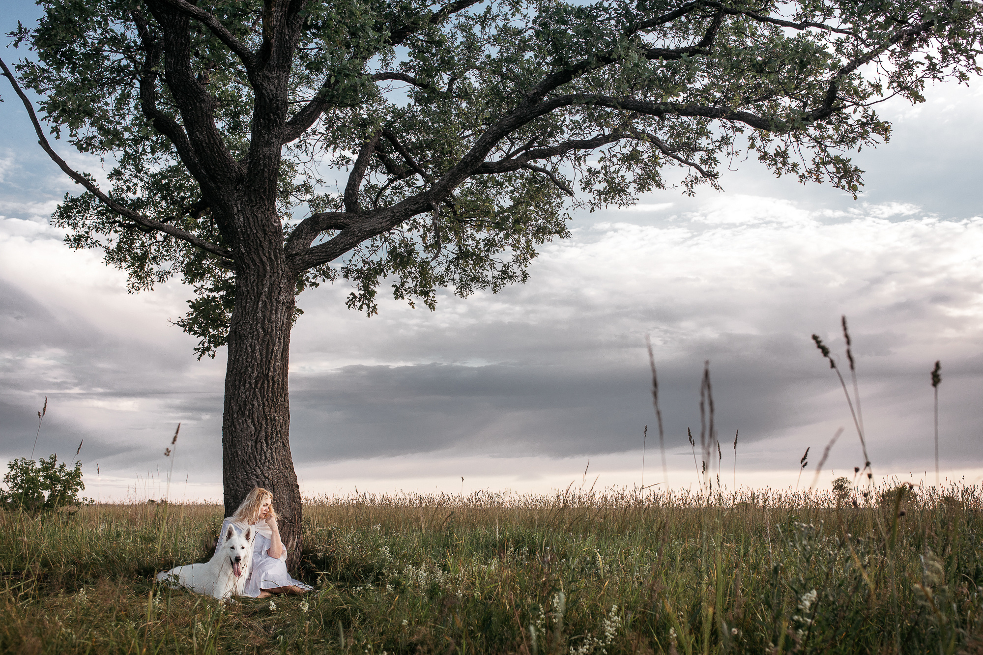 Девушка с собакой сидит под деревом в раменском парке.
