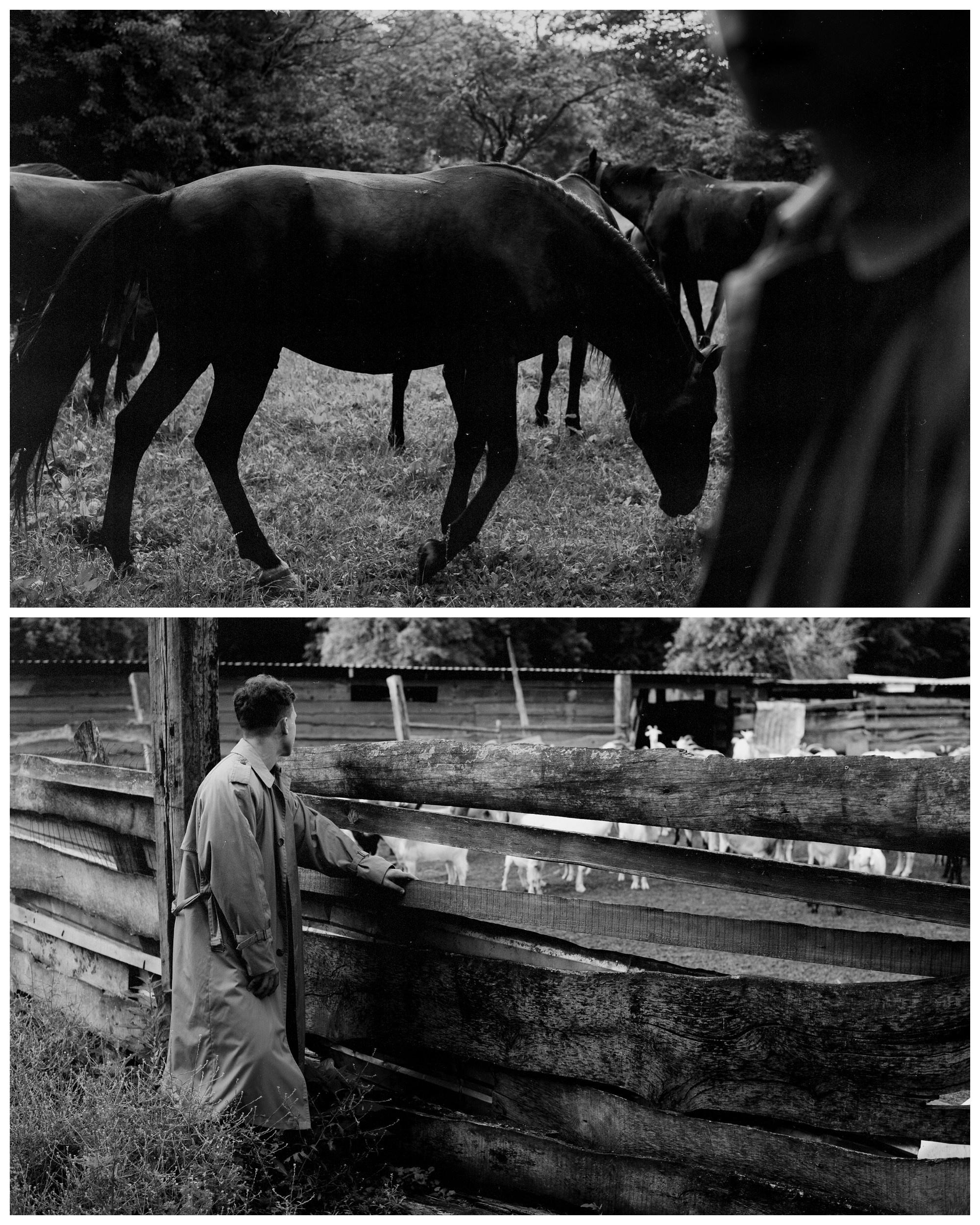 Феликс. Портретная фотография в Майкопе — CINEMACHINE