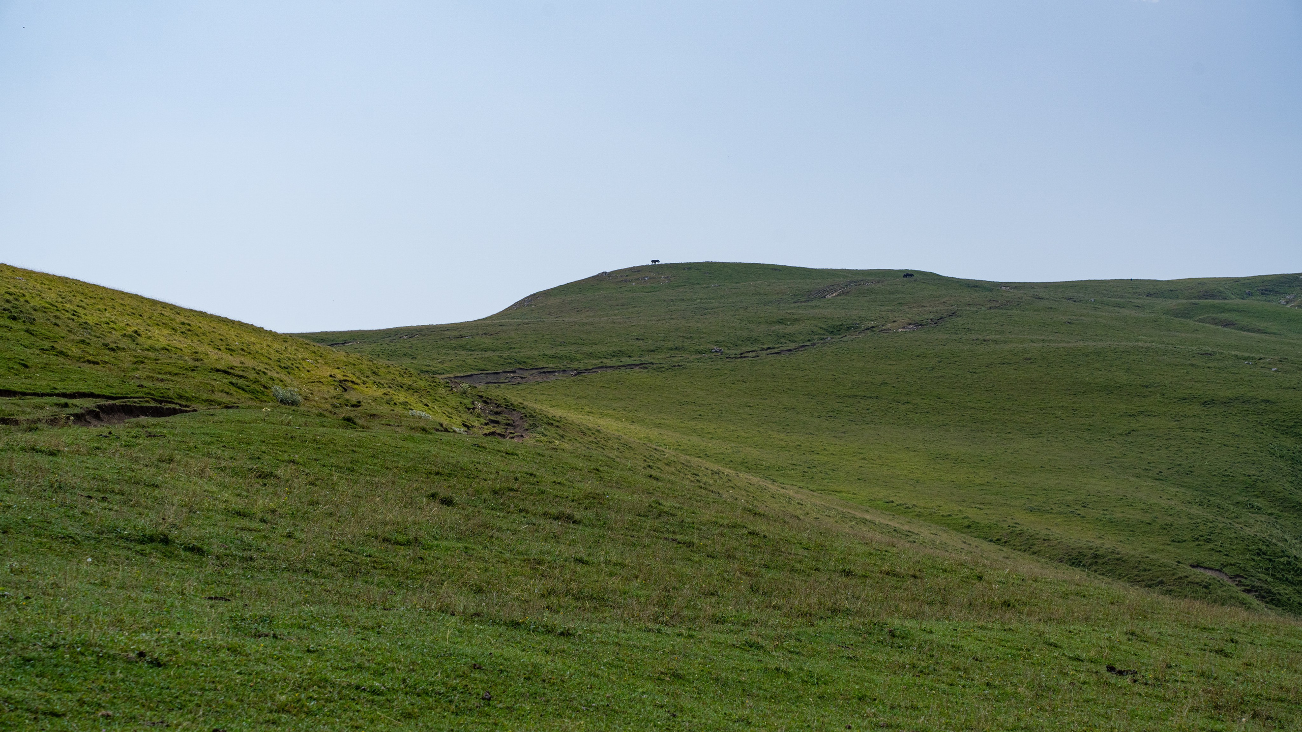 Дагестан. Фотограф в Москве. Шахабудин