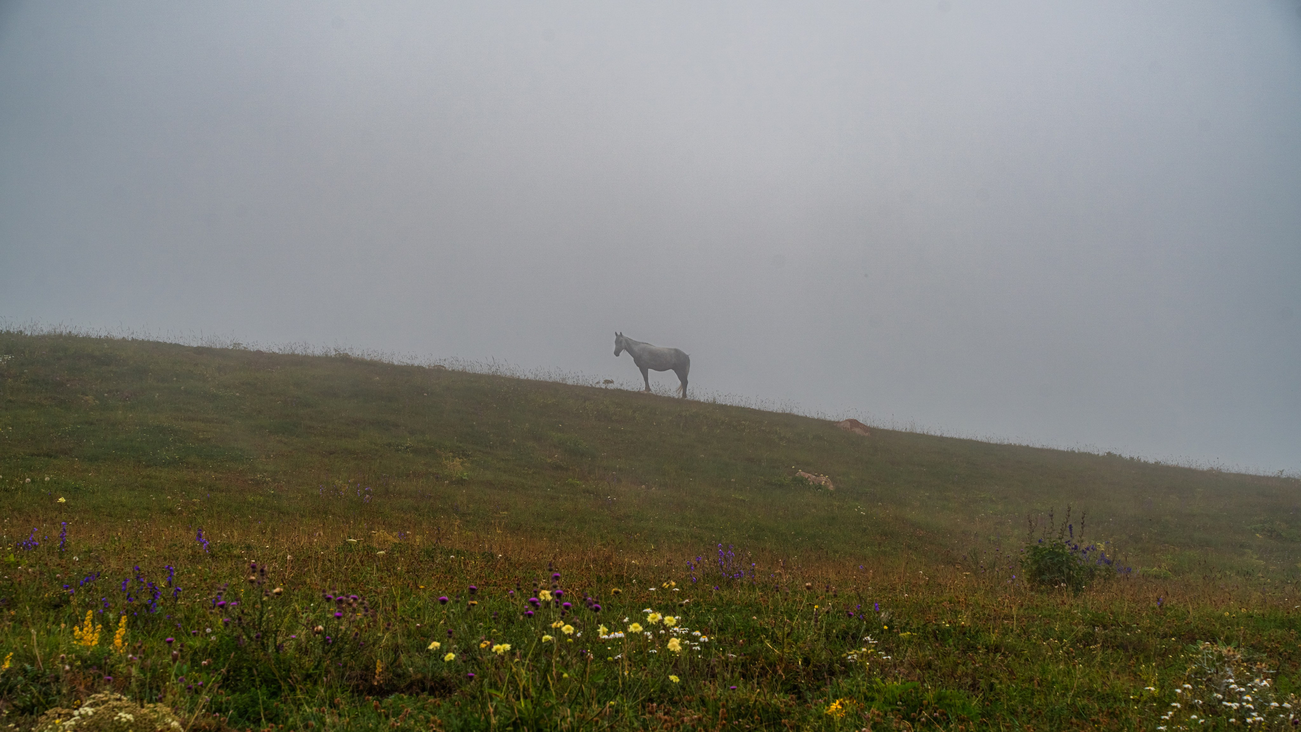 Дагестан. Фотограф в Москве. Шахабудин