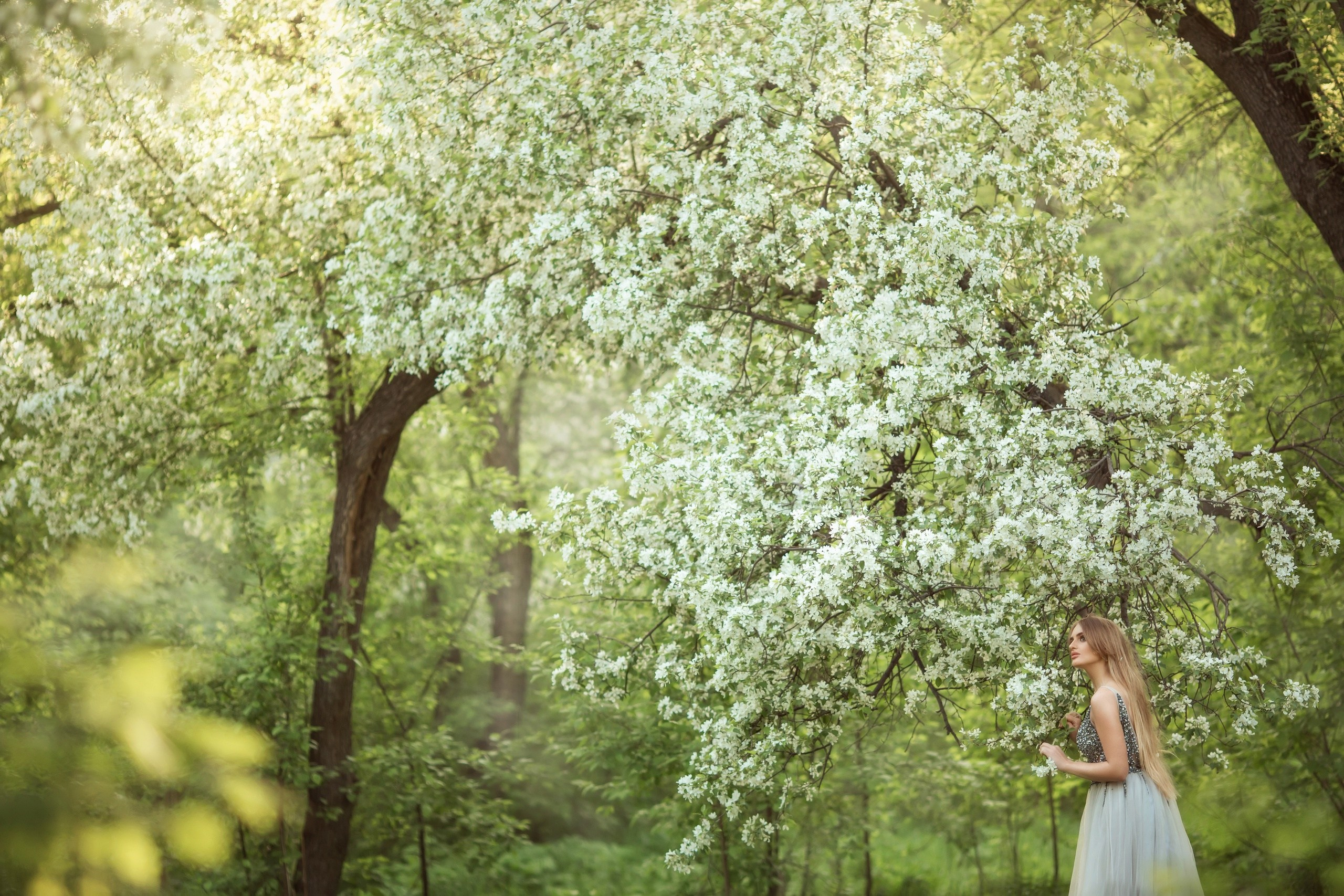 Цветение. Сказочный фотограф фотопроекты фототуры в Новосибирске и на Алтае