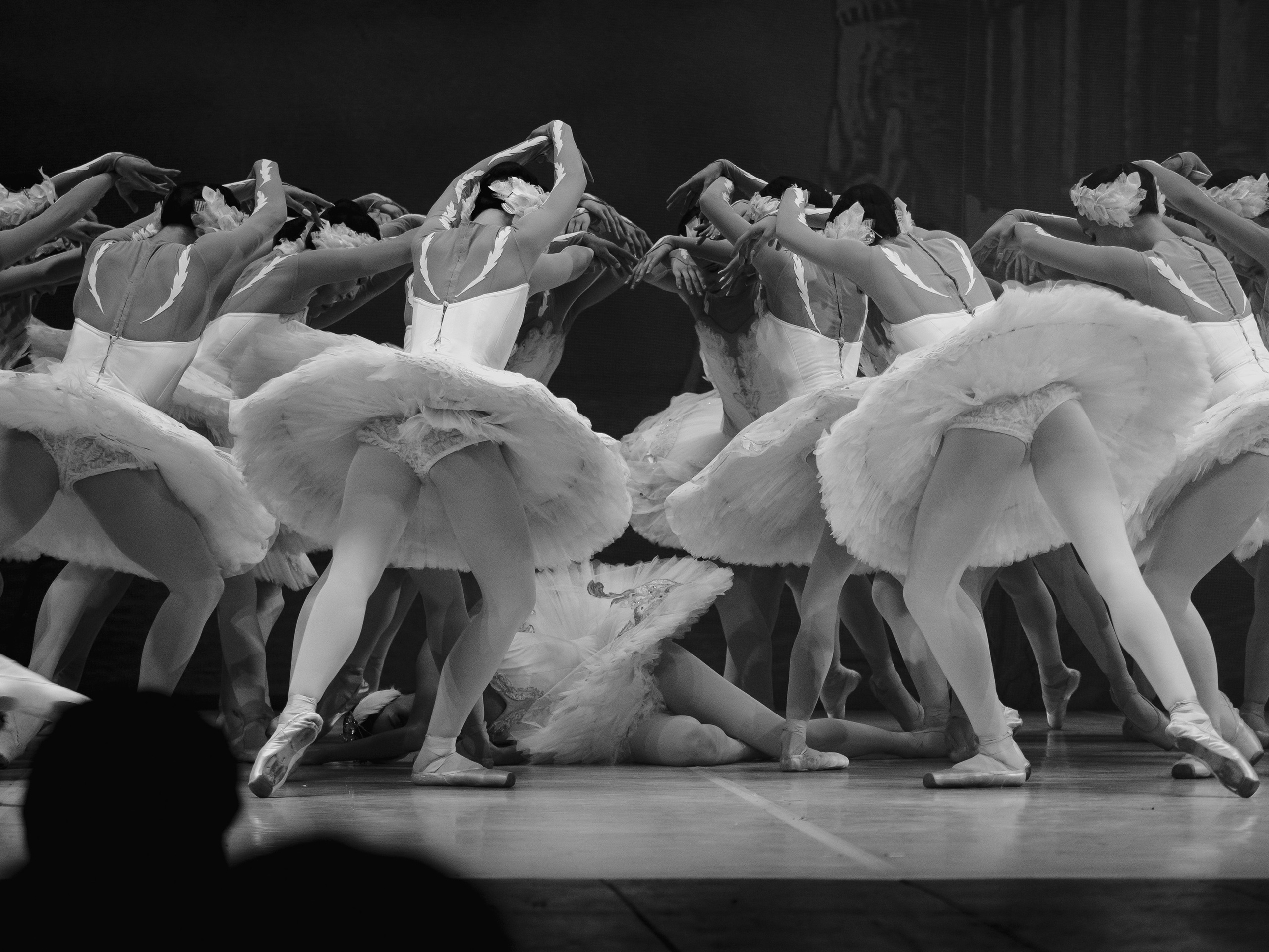 Балет «Лебединое озеро». Маруся Машкова • Фотограф в Москве