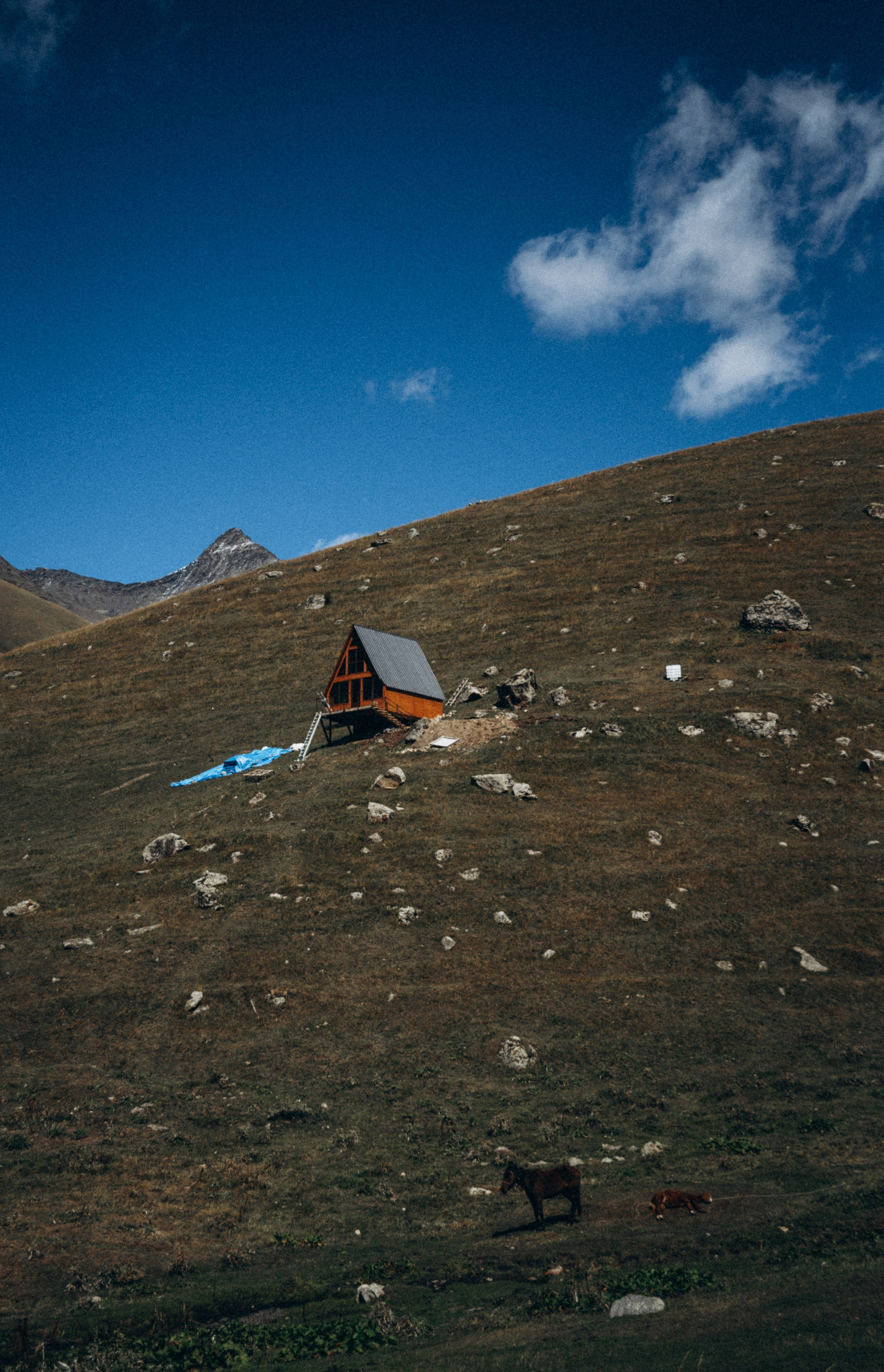 Джута, Грузия 🇬🇪 «Honey Trip». Anita_photo