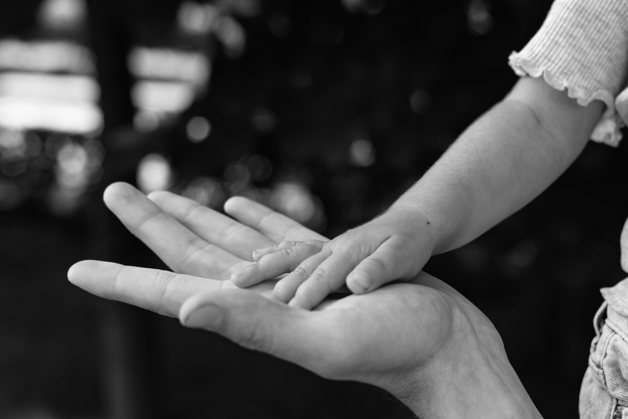 Прогулка. Фотограф Александра Волкова | Волгоград