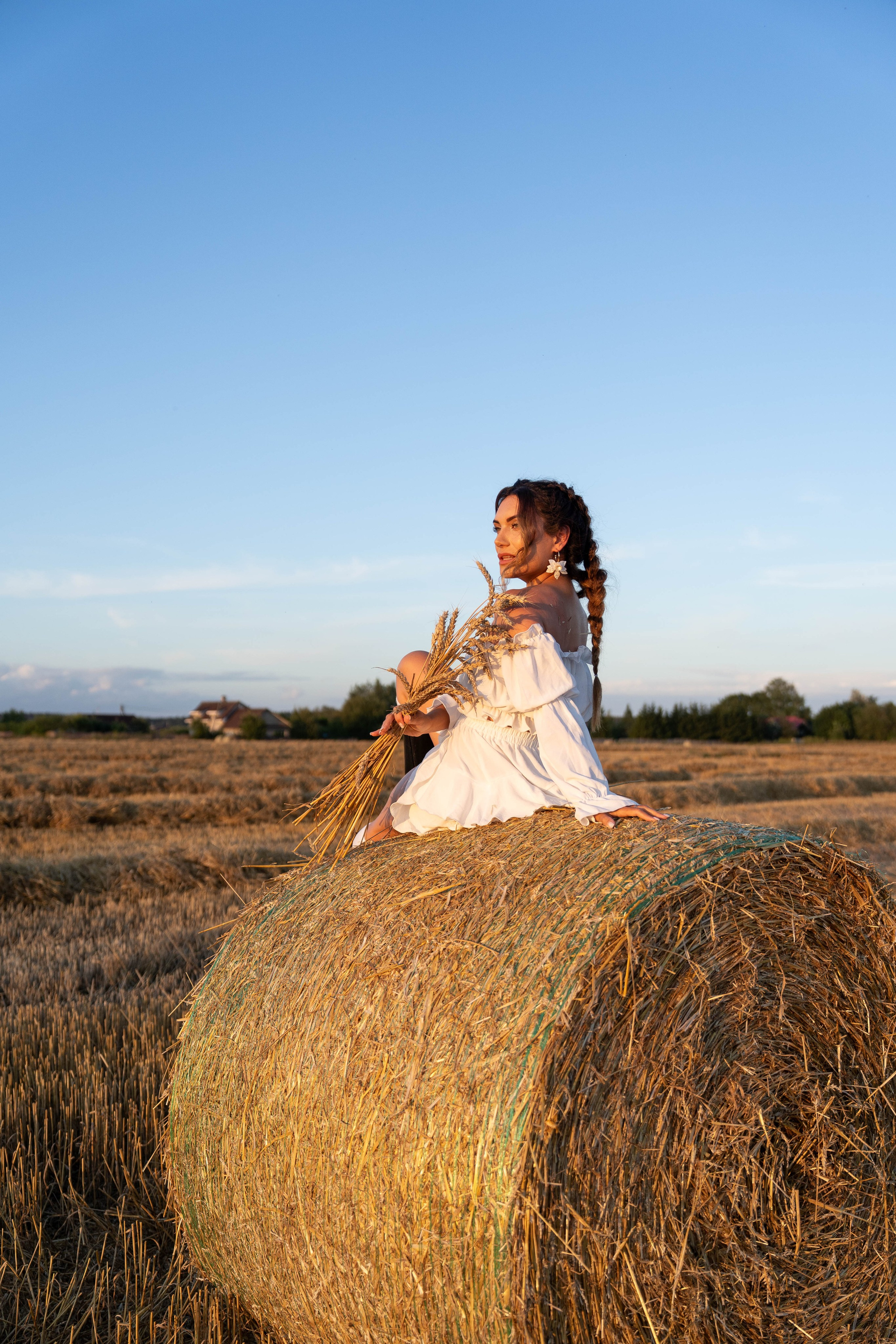 Пшеничные поля. Главная