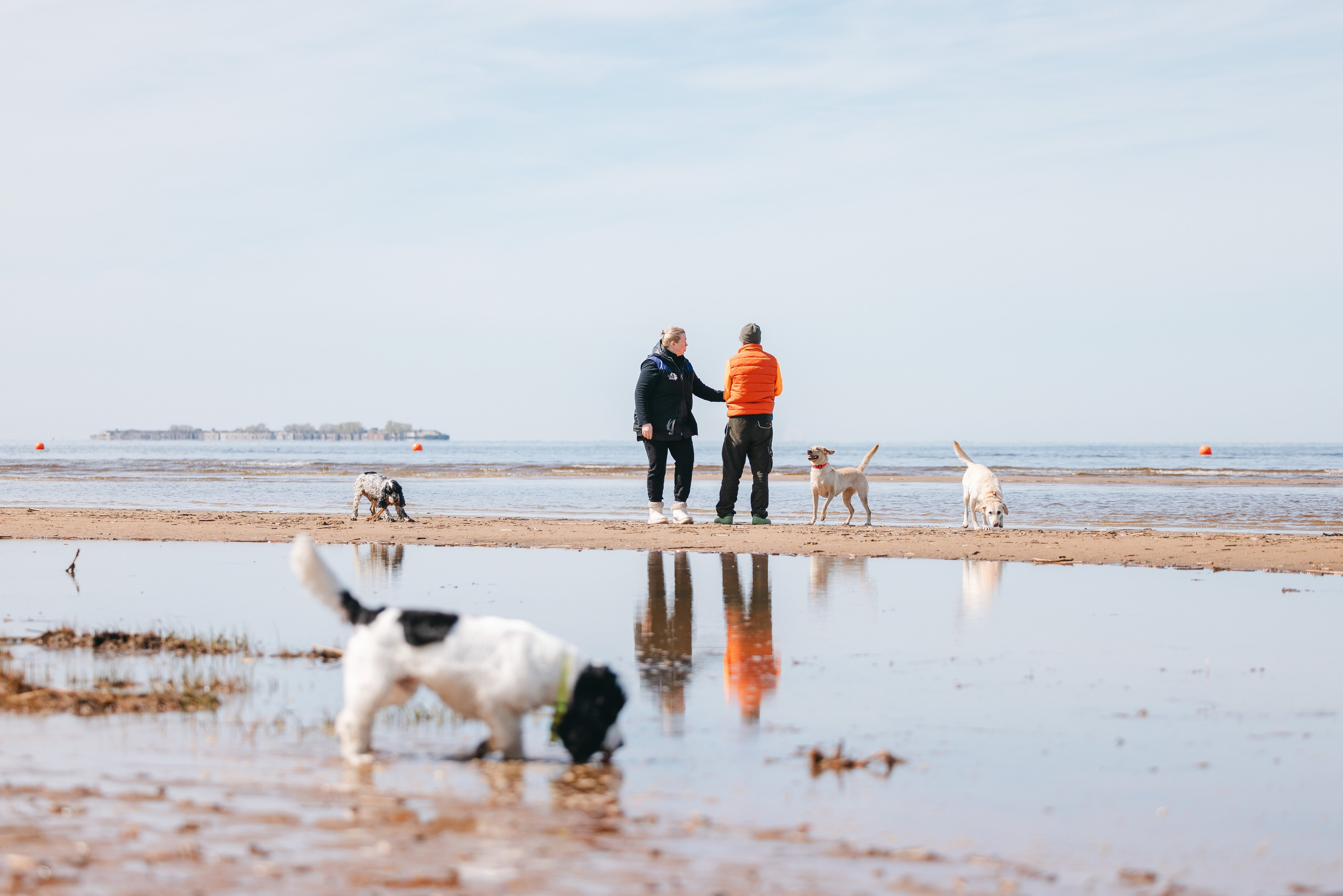 Спанимания. Фотограф анималист Осипчикова Мария