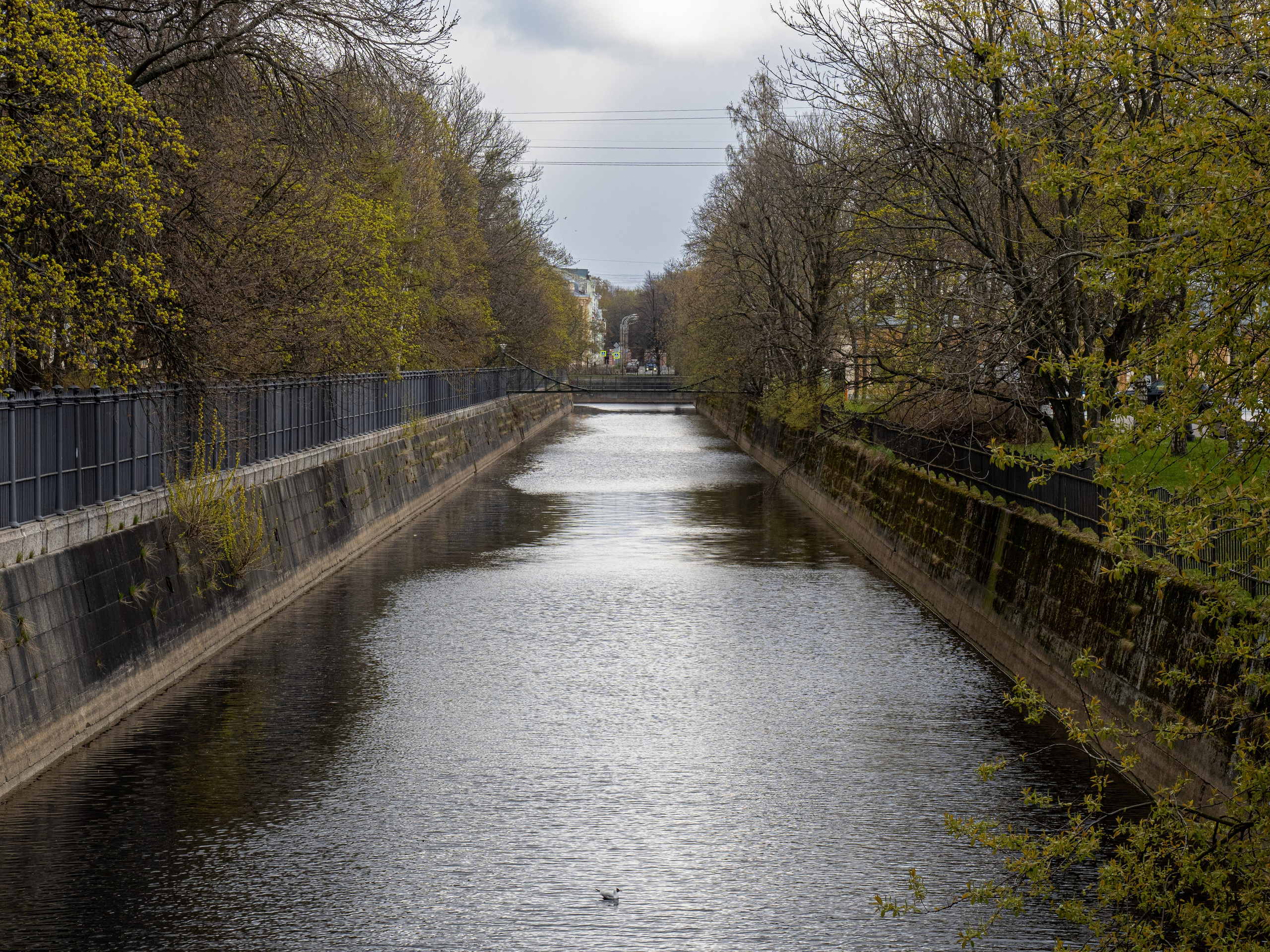 Кронштадт-Сортавала-Валаам-Выборг. Творческие сьемки