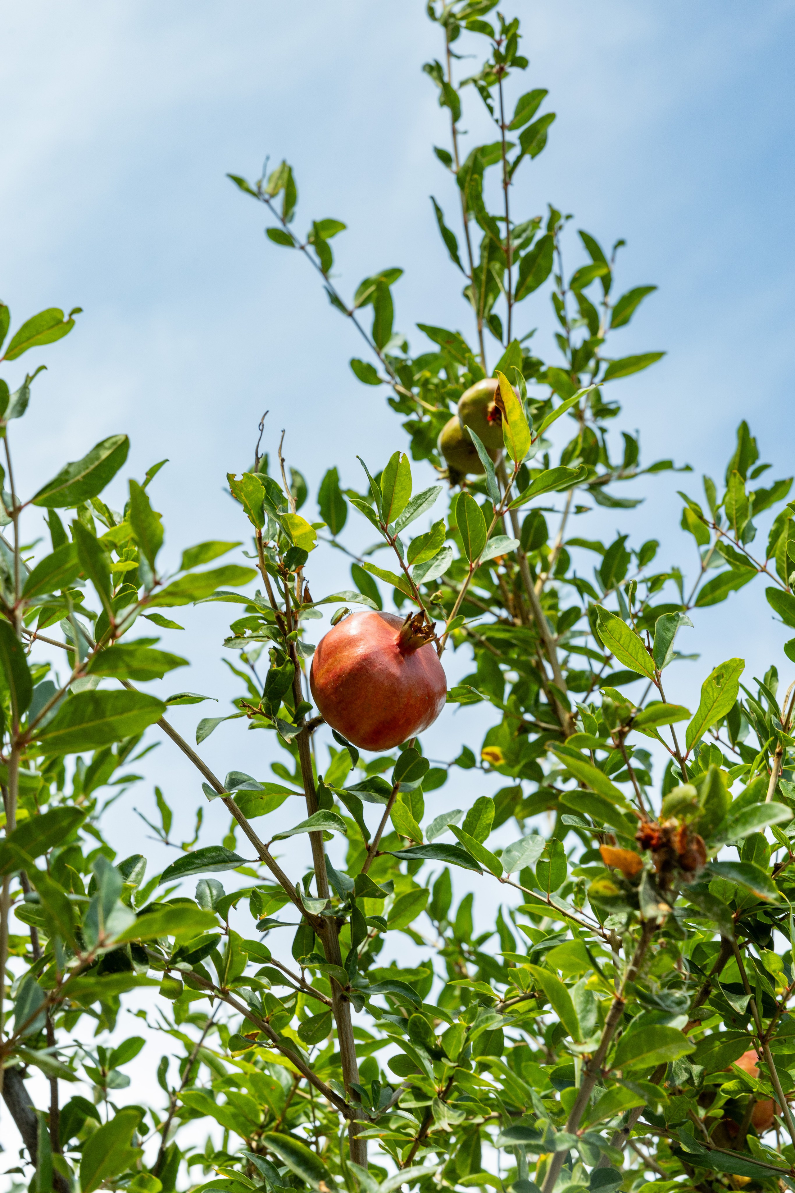 Кавала. Фото департамент круизного лайнера Астория Гранде
