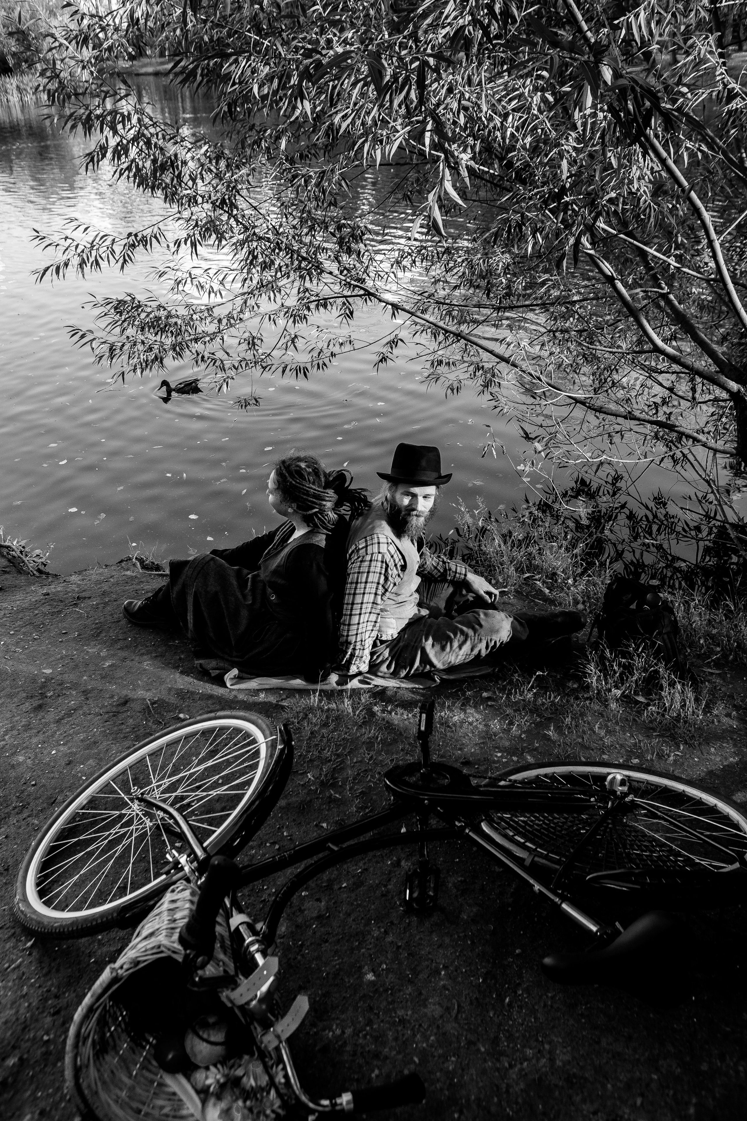 Золотая Осень. Фотограф Екатерина Голицына