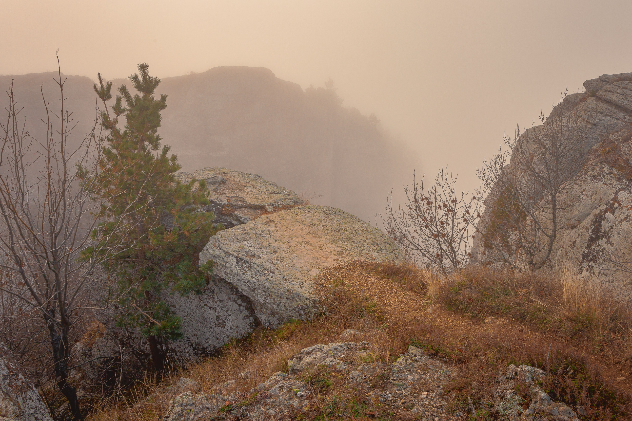Пейзажная фотография. Фотошкола ArtFotoLife для начинающих и продвинутых фотографов