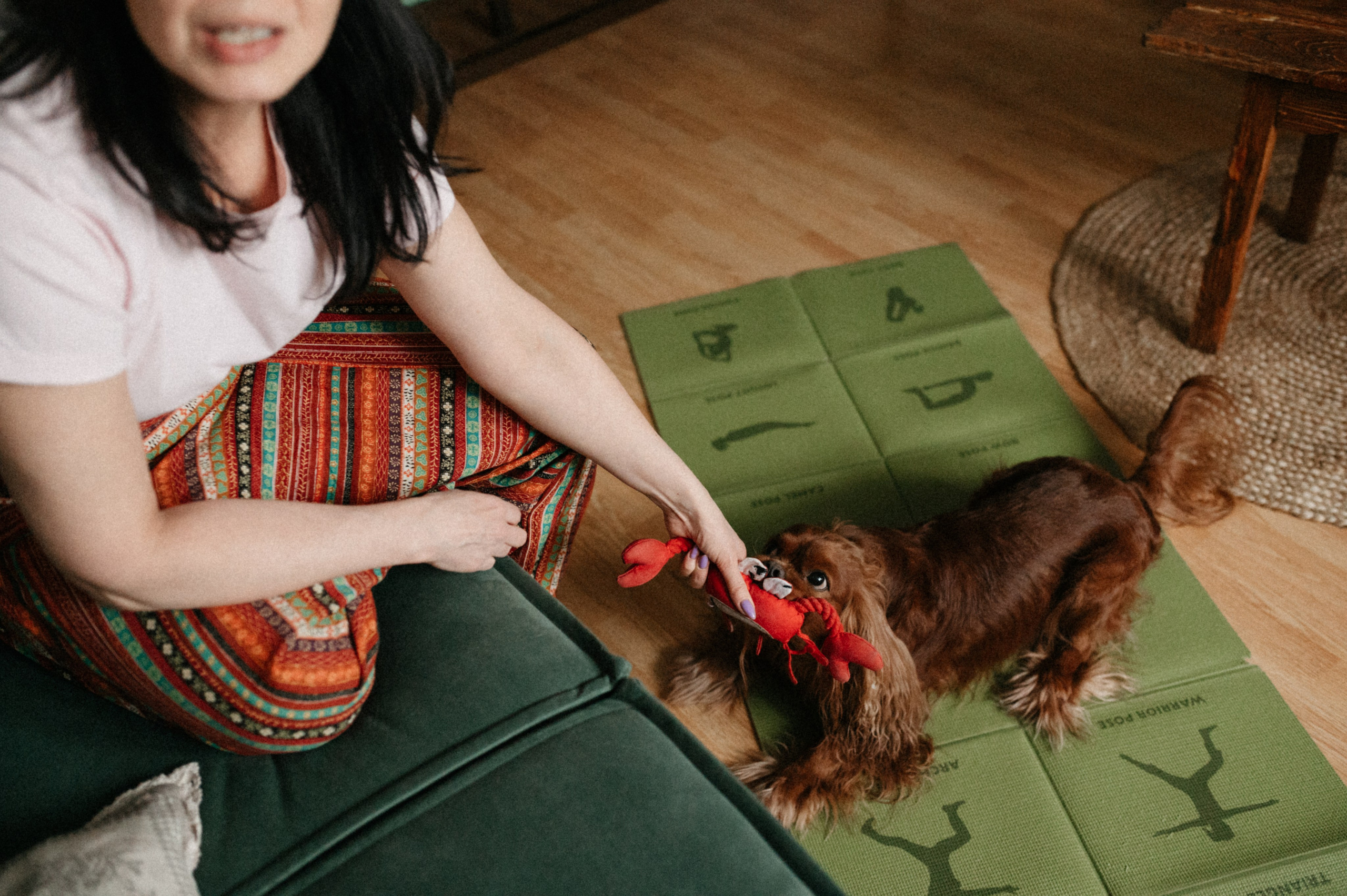 Оля и её меховая банда. Фотограф анималист в Москве Ольга Агушева