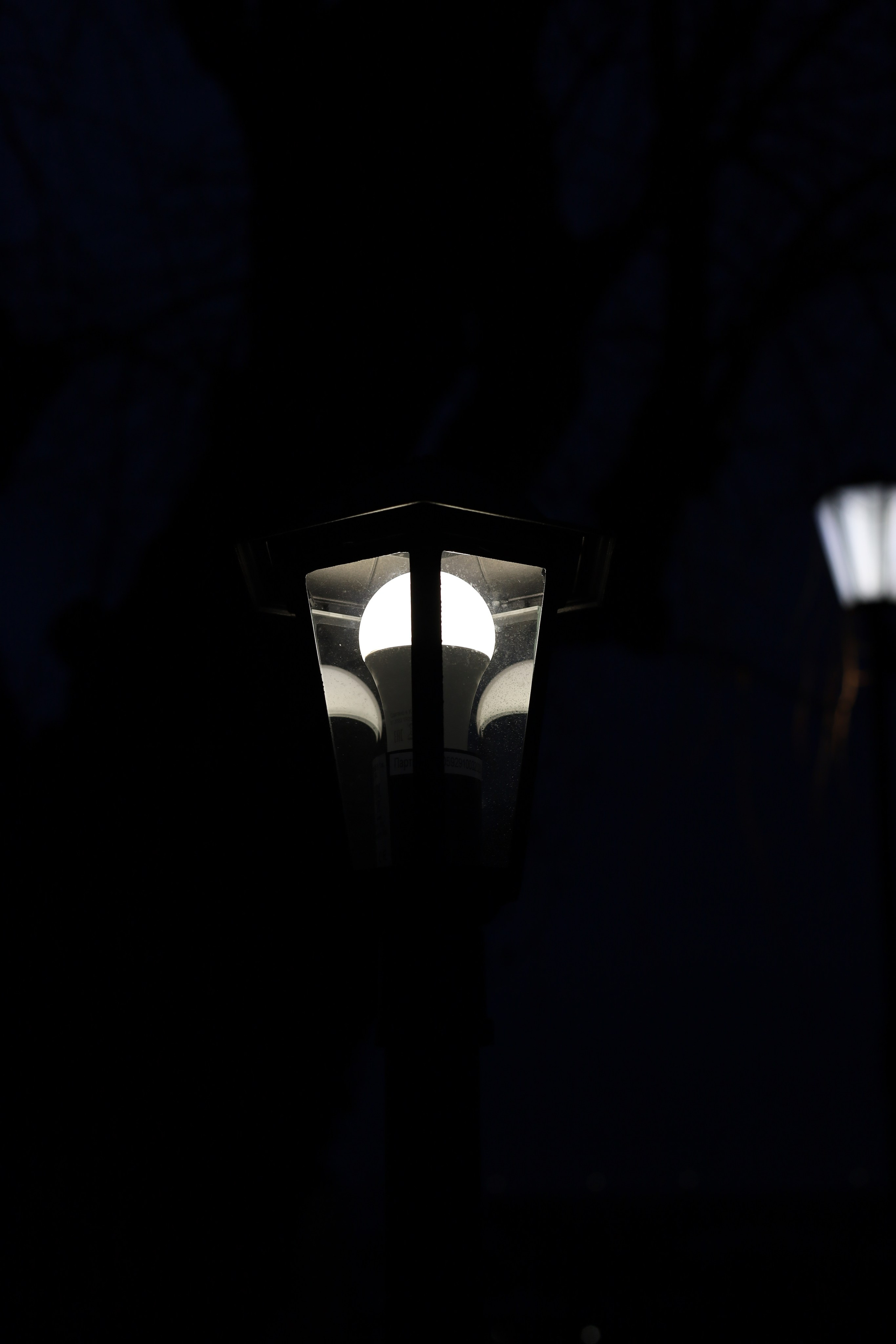 Вокруг. Сайт-портфолио фотографа Анастасии Брантовой