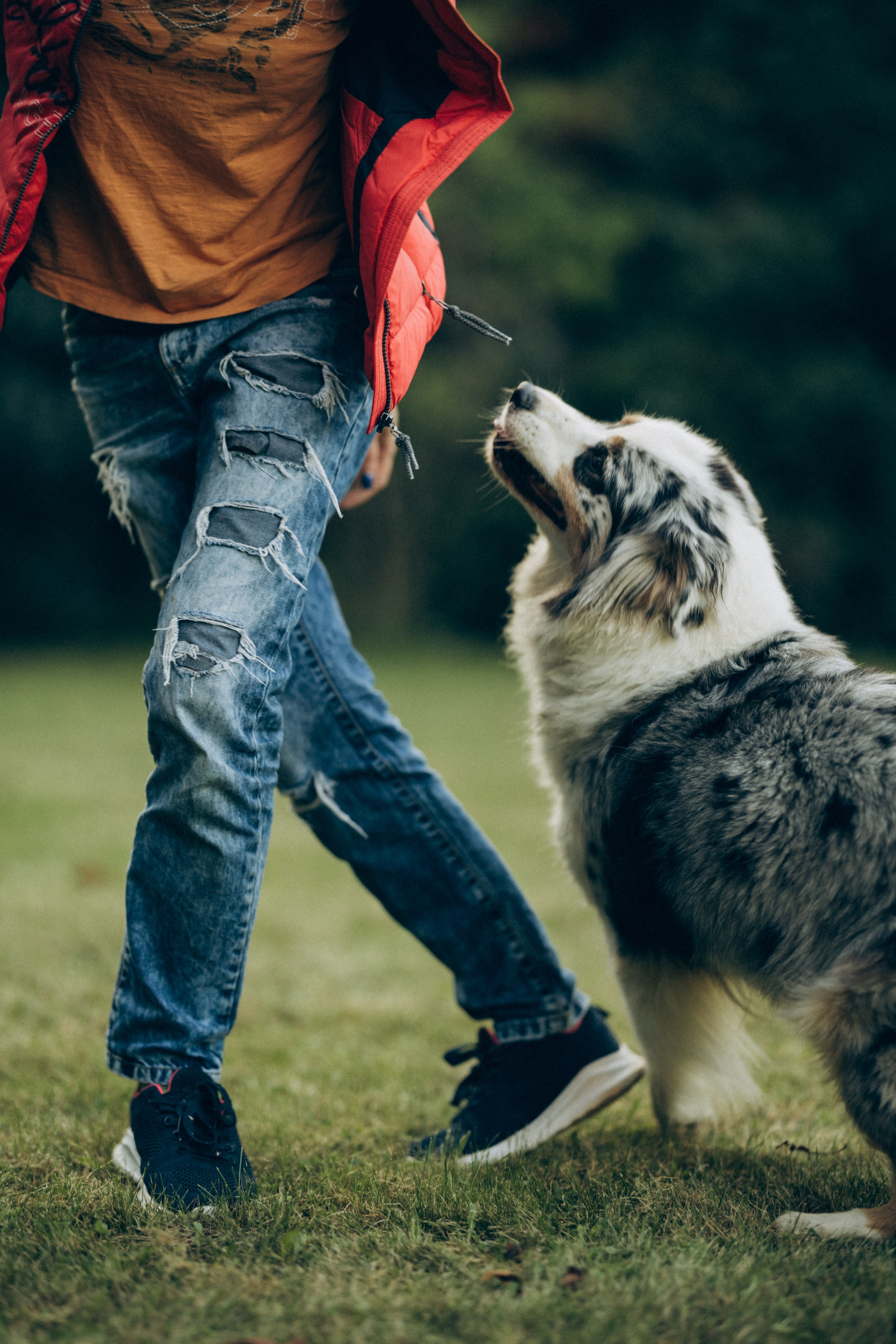 Катя и ее стая. Татьяна Афонина | Фотограф