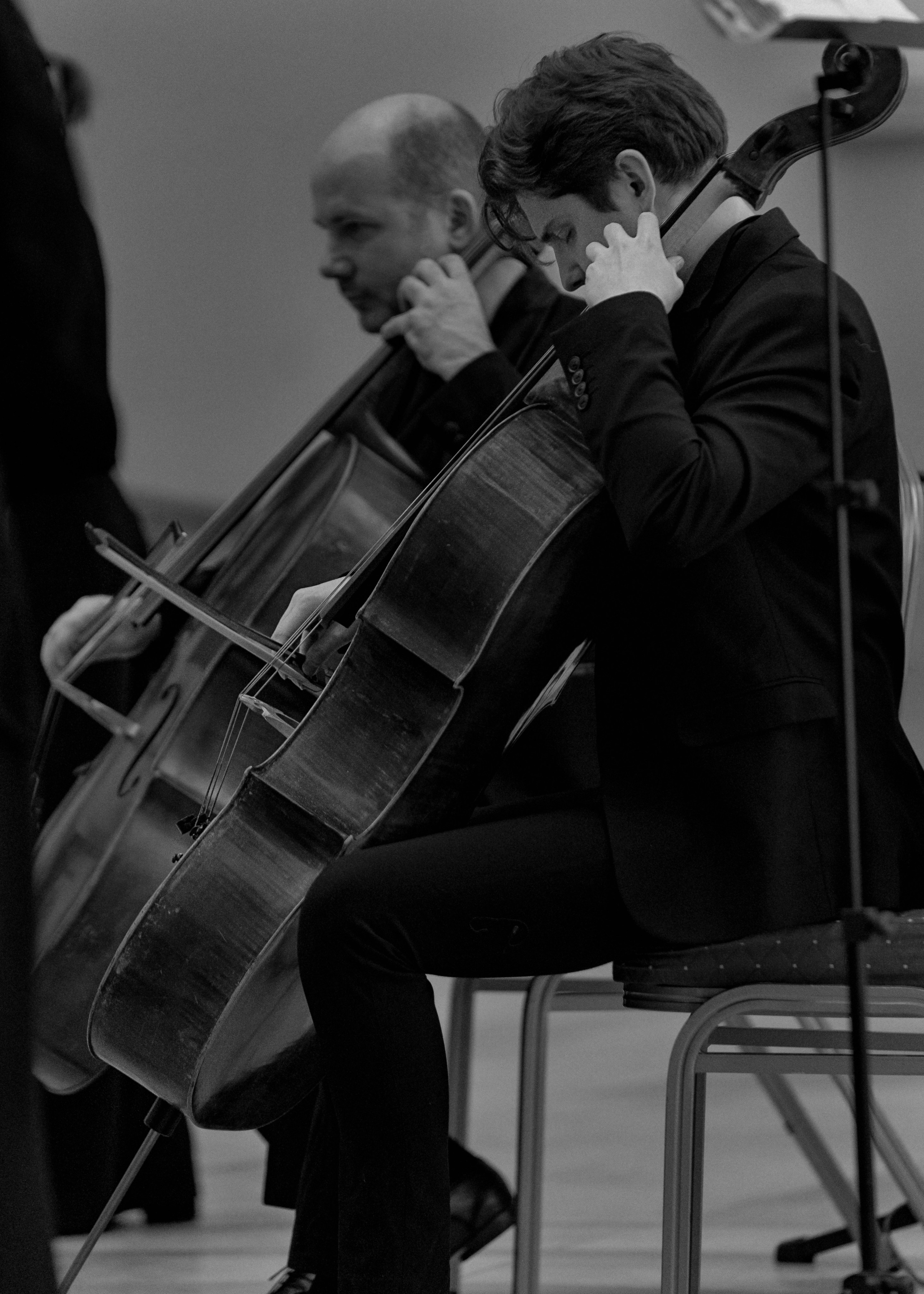 The State Hermitage Museum. Divertissement Chamber Orchestra. Фотограф Ирина Соколенко Санкт-Петербург